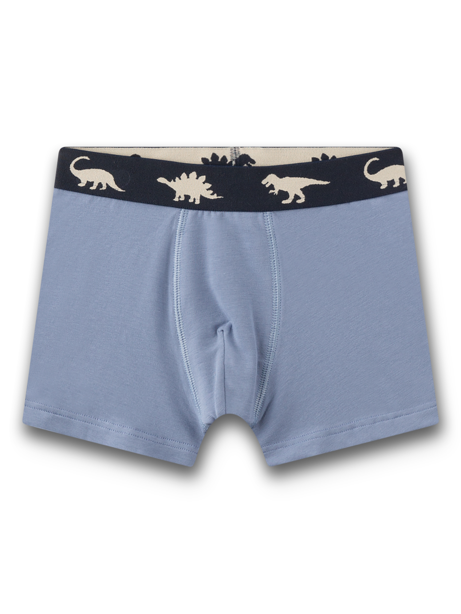 boxer, shorts, baby, dinosaur, elastic waistband
