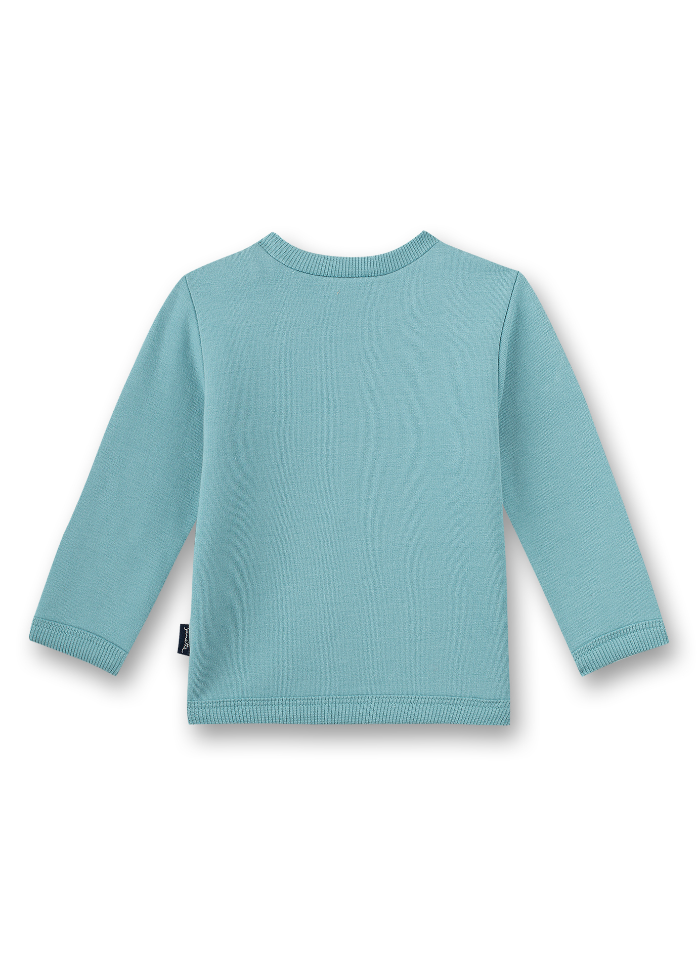 Jungen-Sweatshirt Hellblau Indian Little Panda