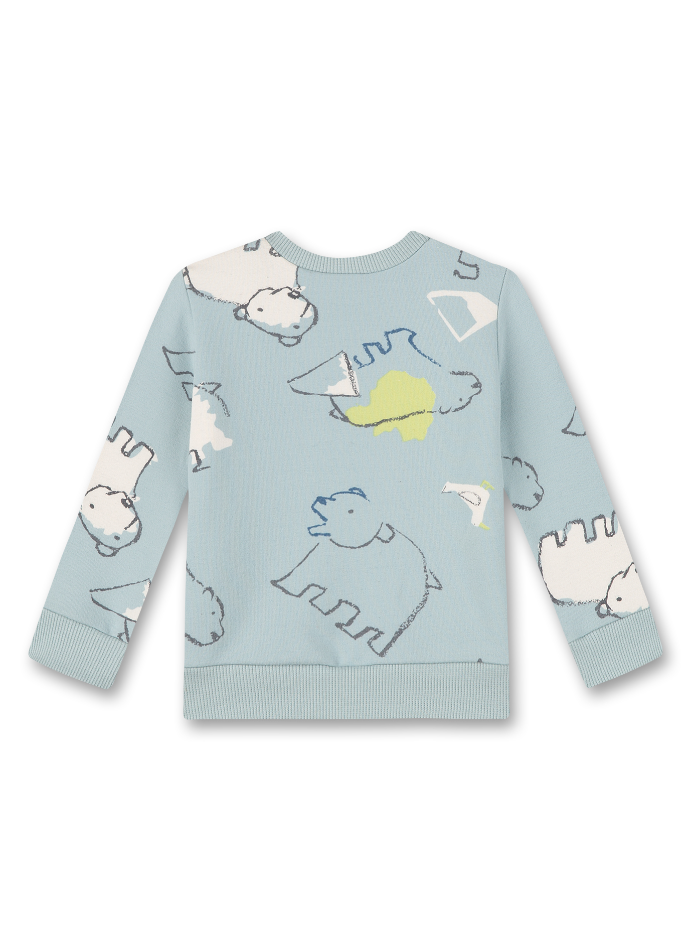 Jungen-Sweatshirt Hellblau