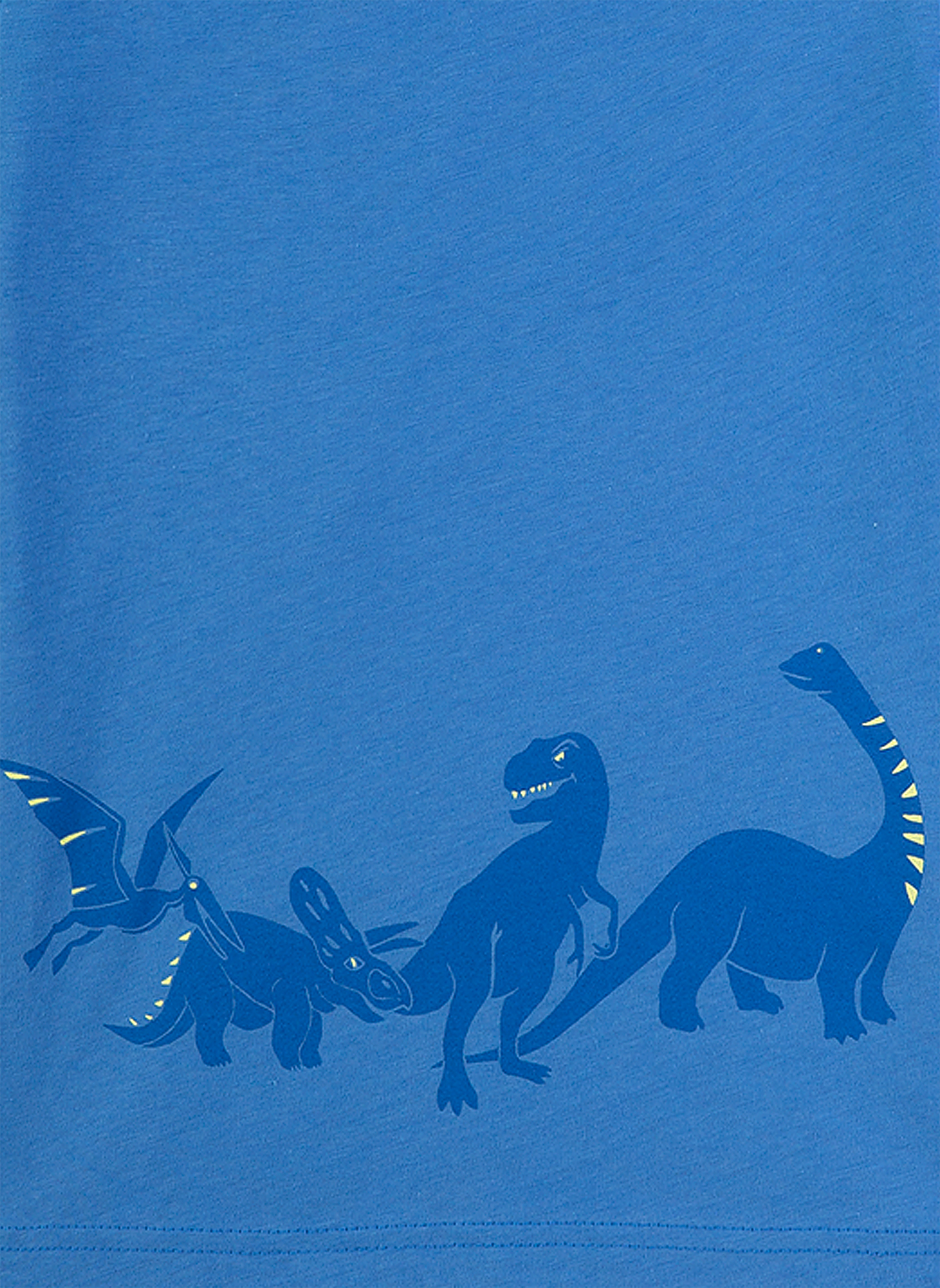 Jungen-Schlafanzug Blau Dino