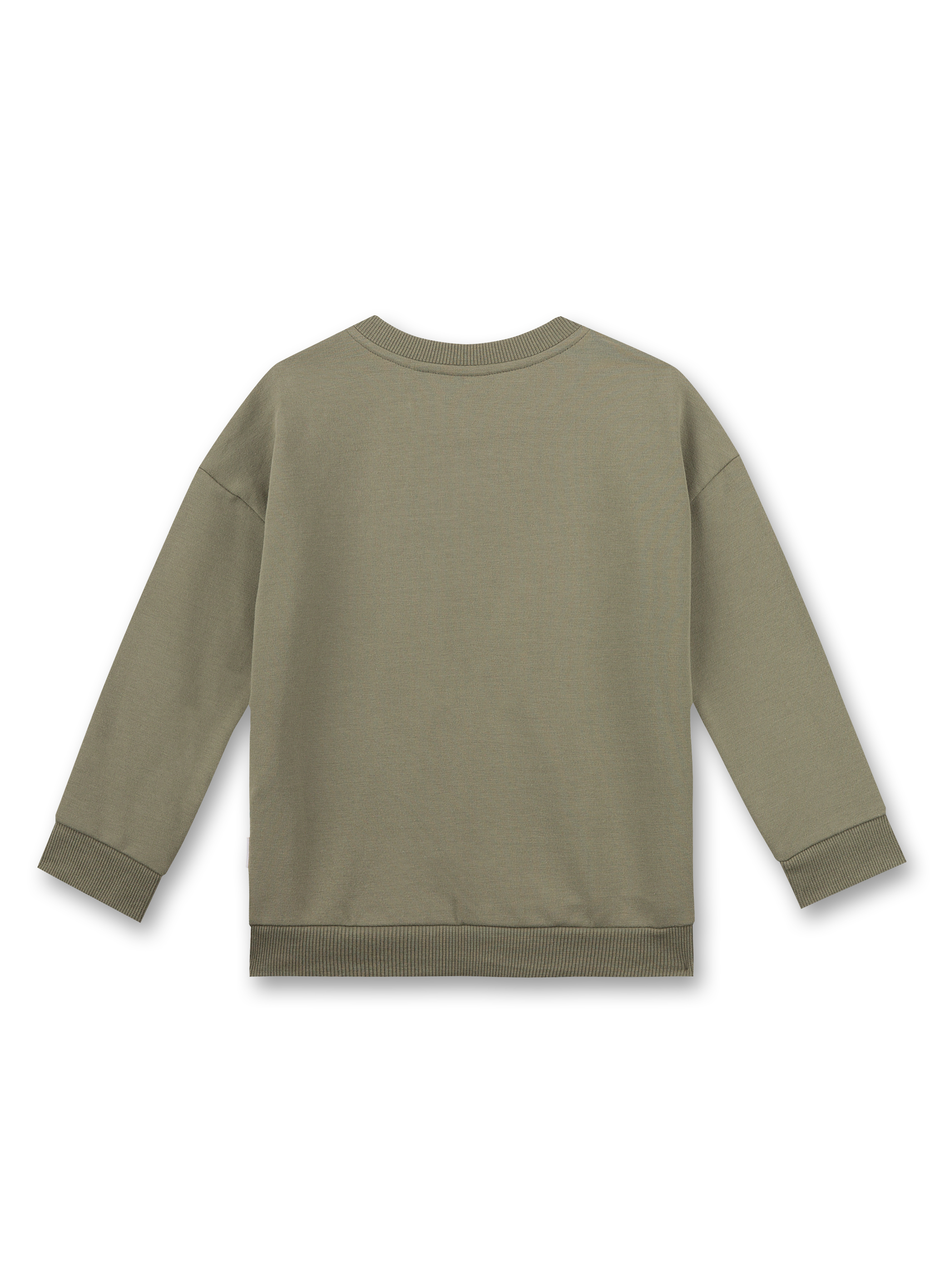 Jungen-Sweatshirt Grün