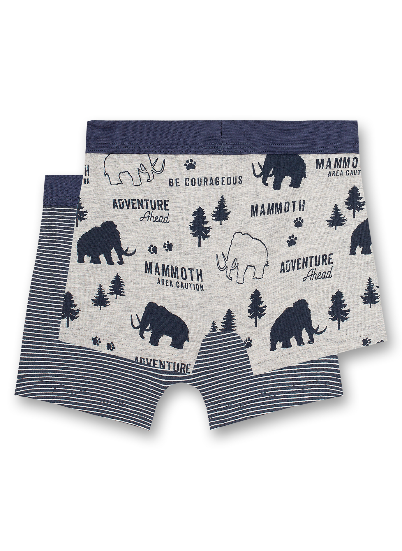 Jungen-Shorts (Doppelpack) Graumelange und Blau Ringel