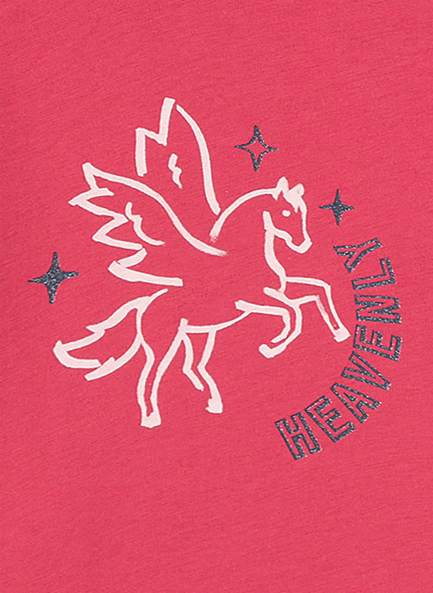Mädchen-Shirt langarm Pink Flying Pegasus