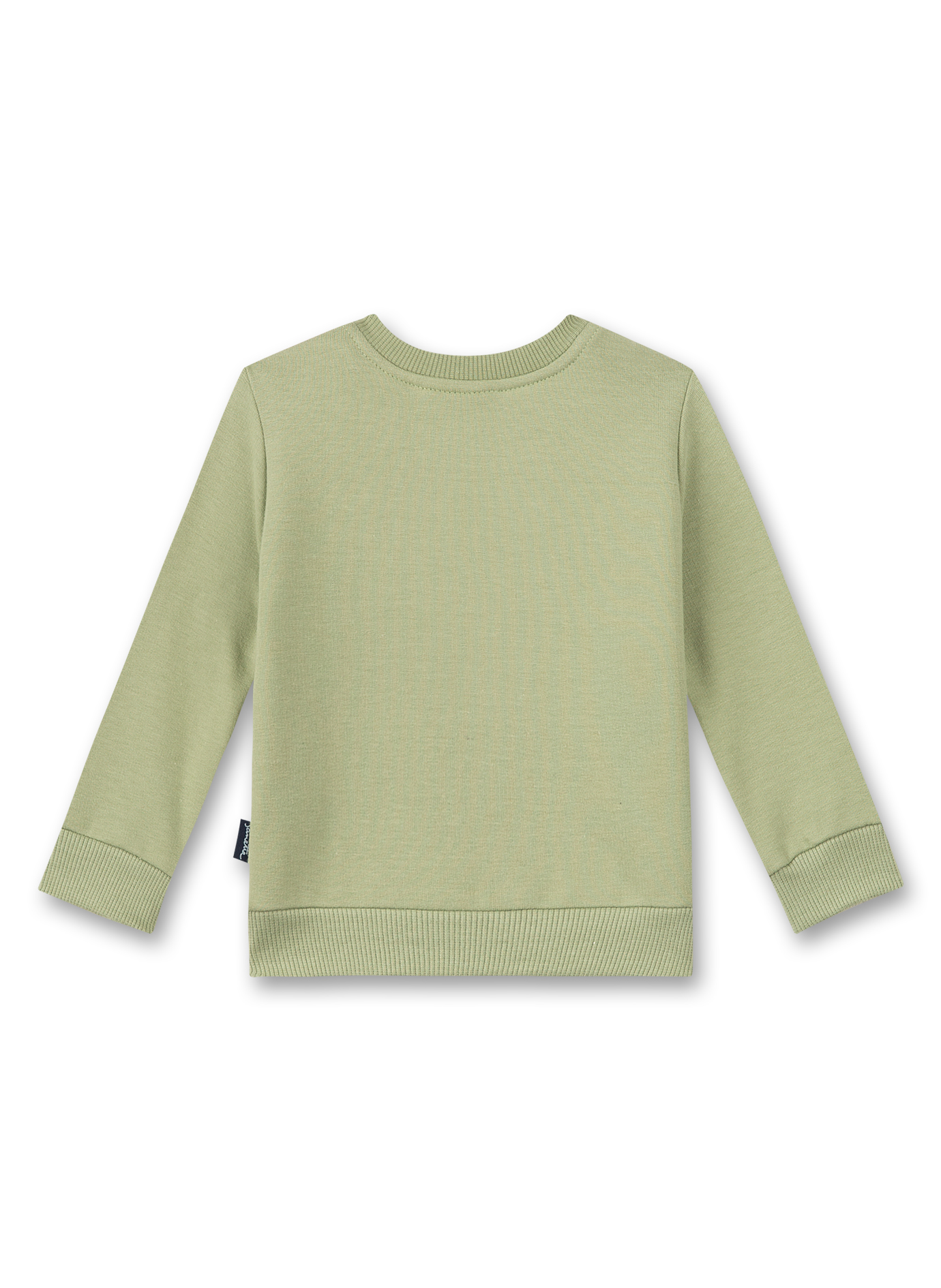 Jungen-Sweatshirt Grün