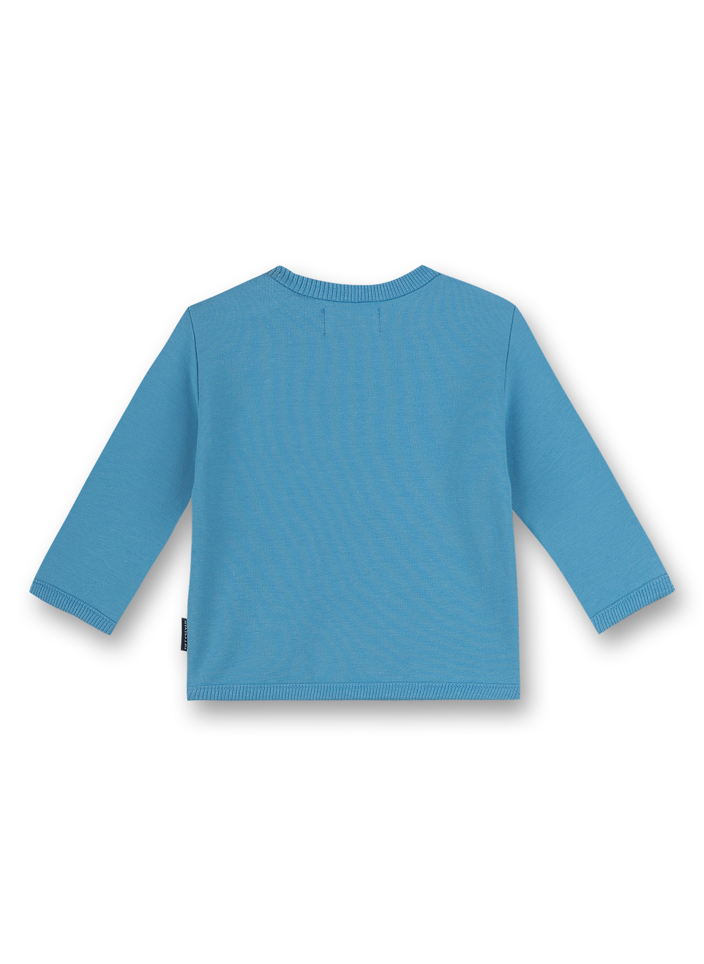 Jungen-Sweatshirt Hellblau Little Whale