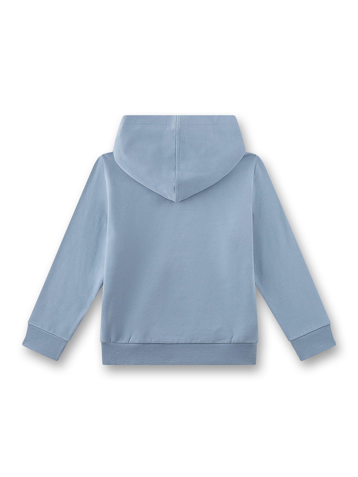 hoodie, hoodie with hood, hellblau, lange Ärmel, weiches Material