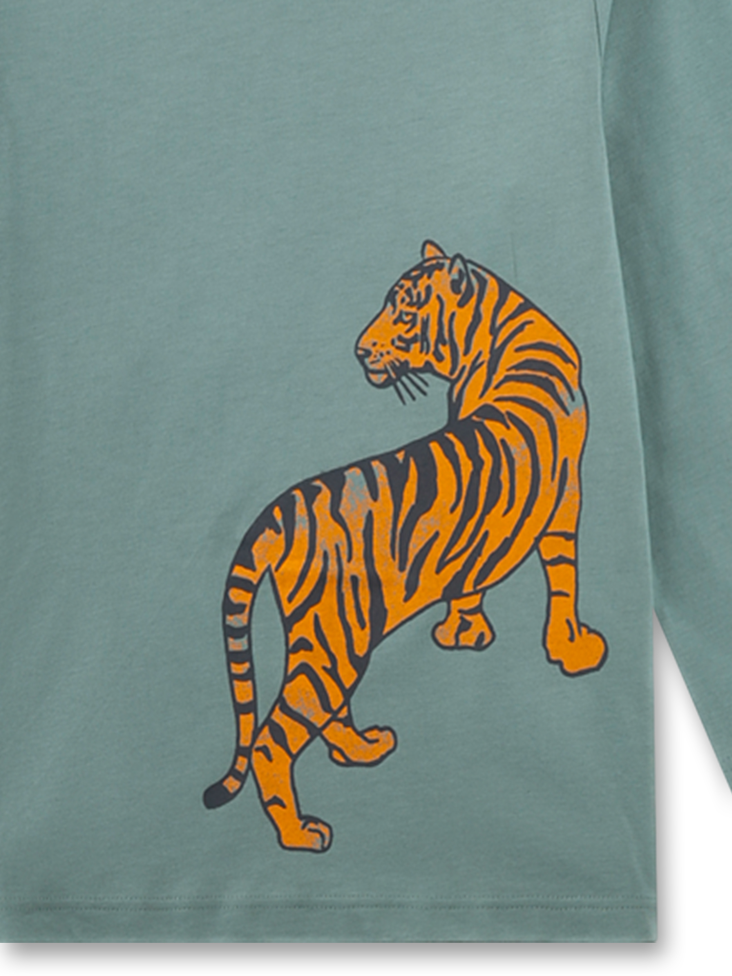 Tier, Säugetier, Tiger, Tierwelt