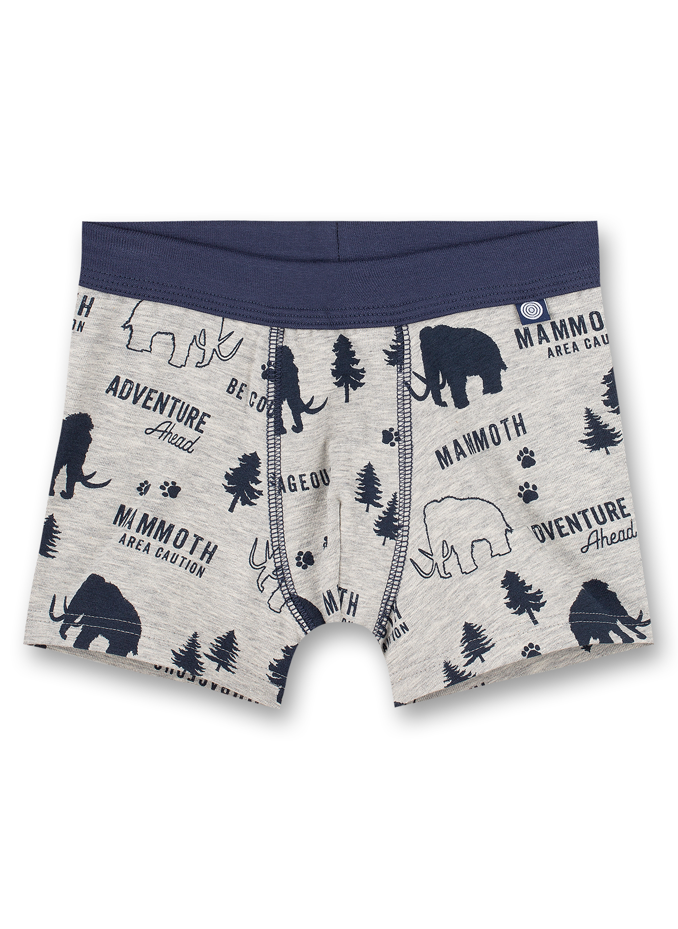 Jungen-Shorts (Doppelpack) Graumelange und Blau Ringel