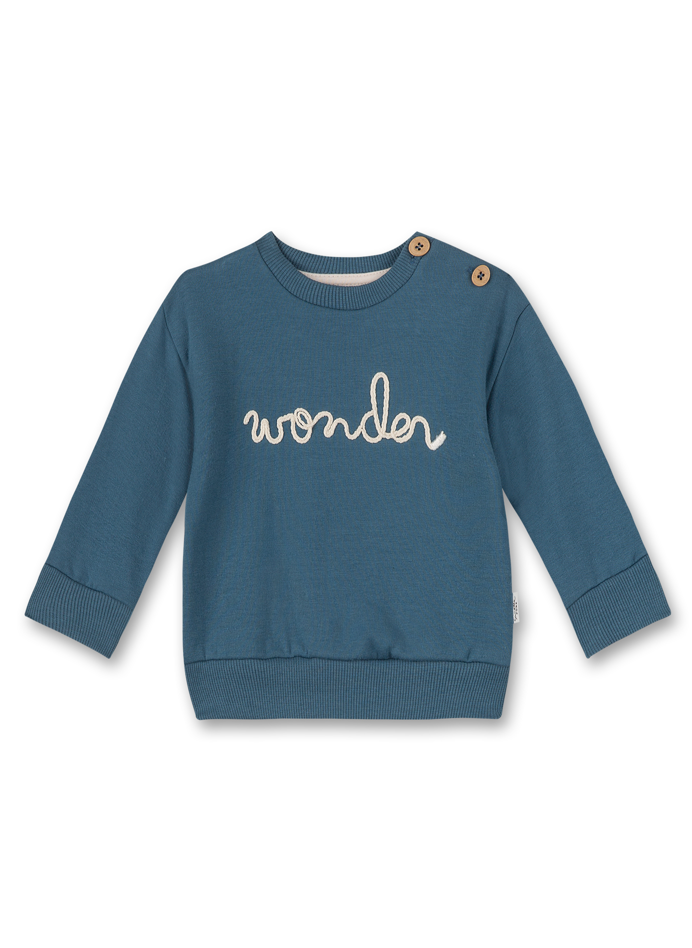 Jungen-Sweatshirt Blau