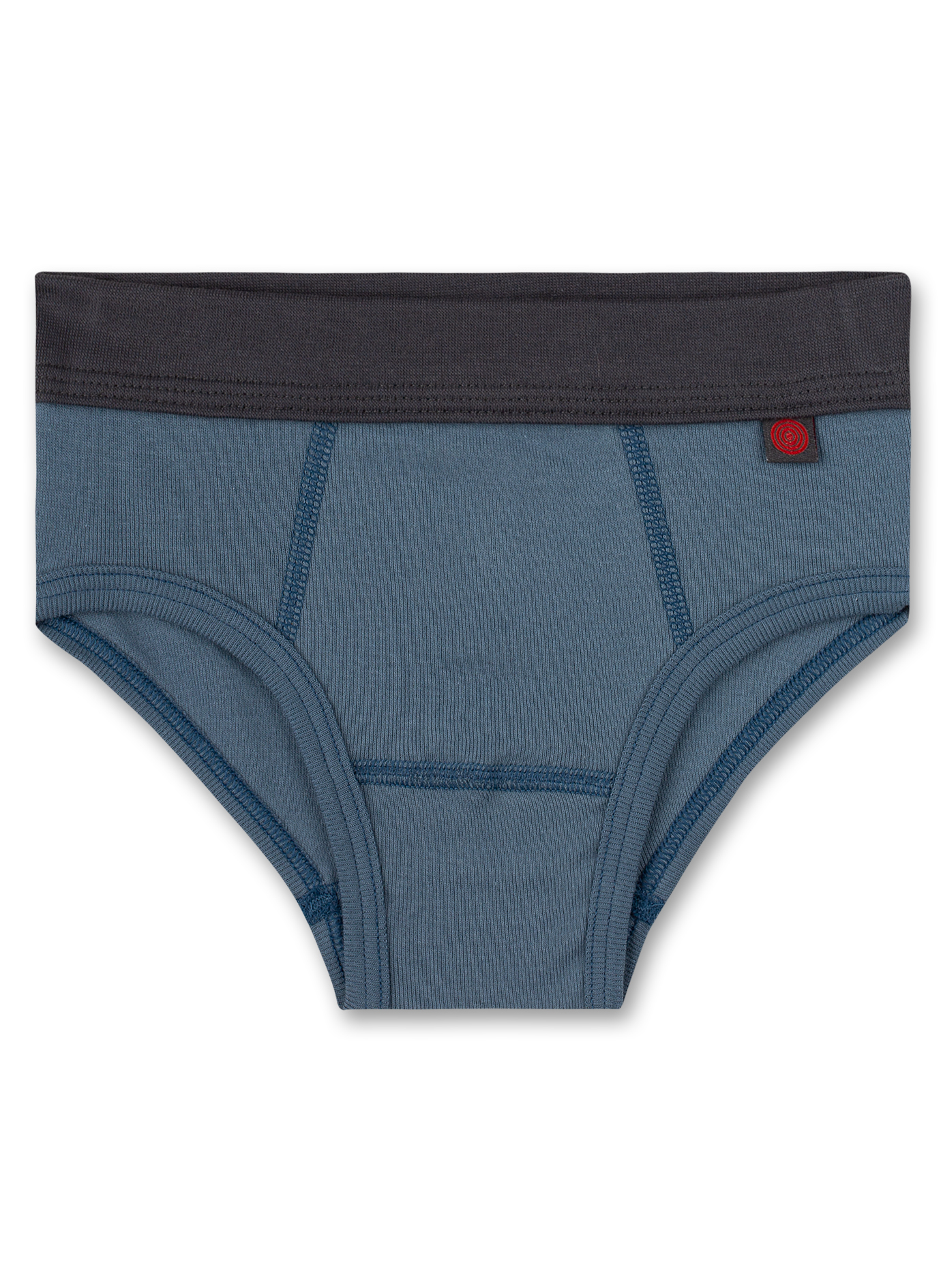 Jungen-Slips (Doppelpack) Graumelange und Blau Truck