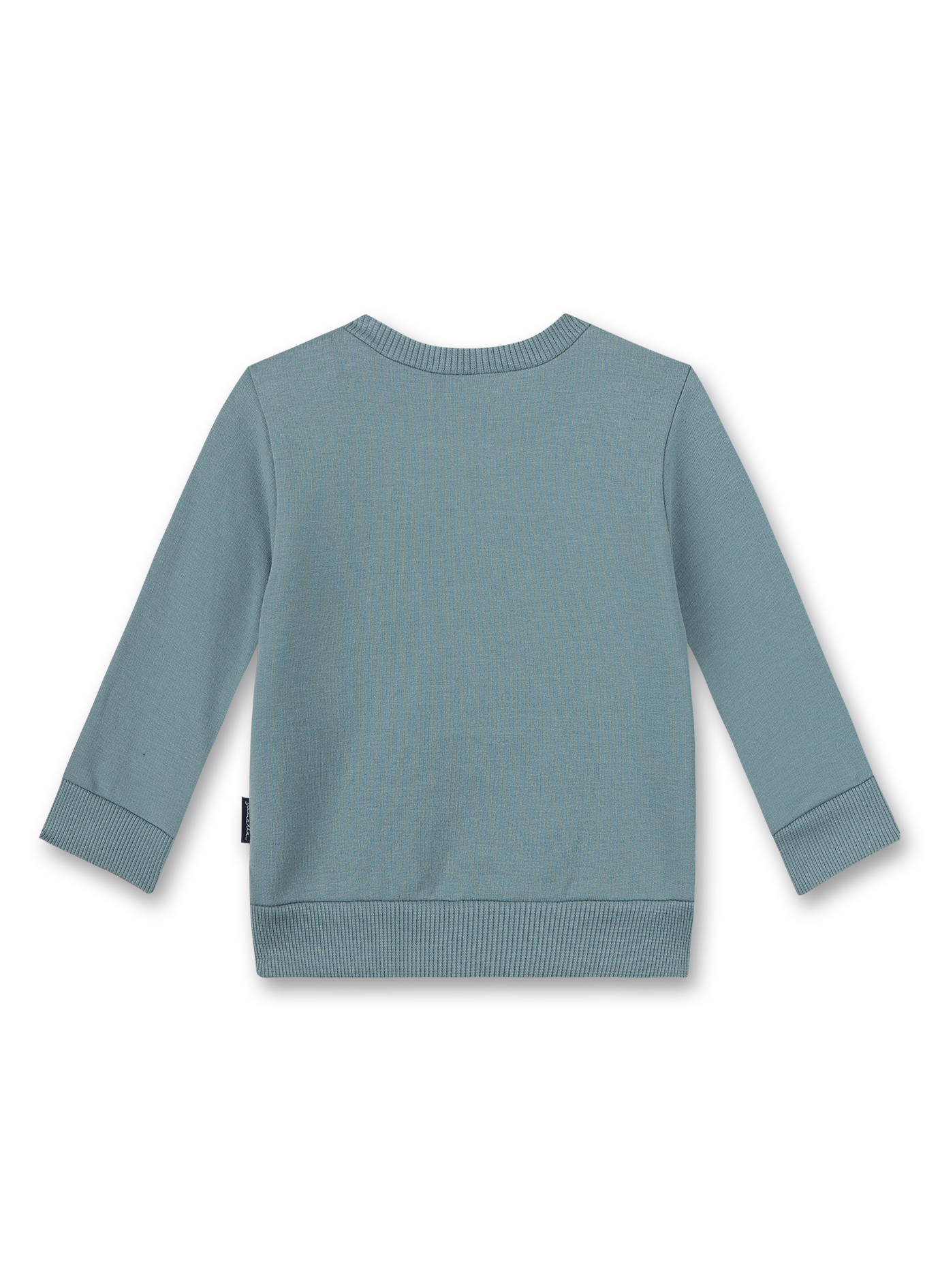 Jungen-Sweatshirt Blau Turtle