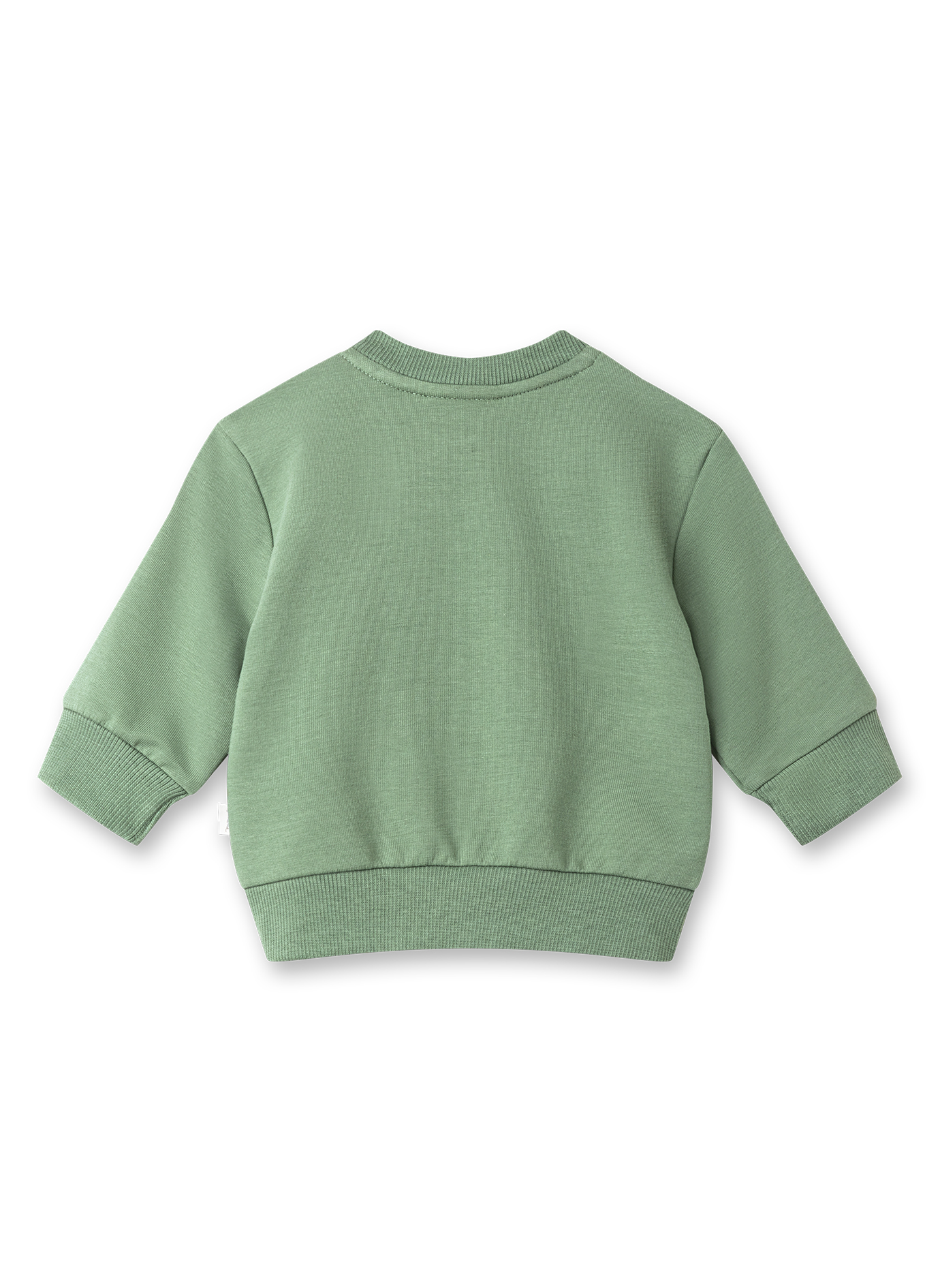 Jungen-Sweatshirt Grün