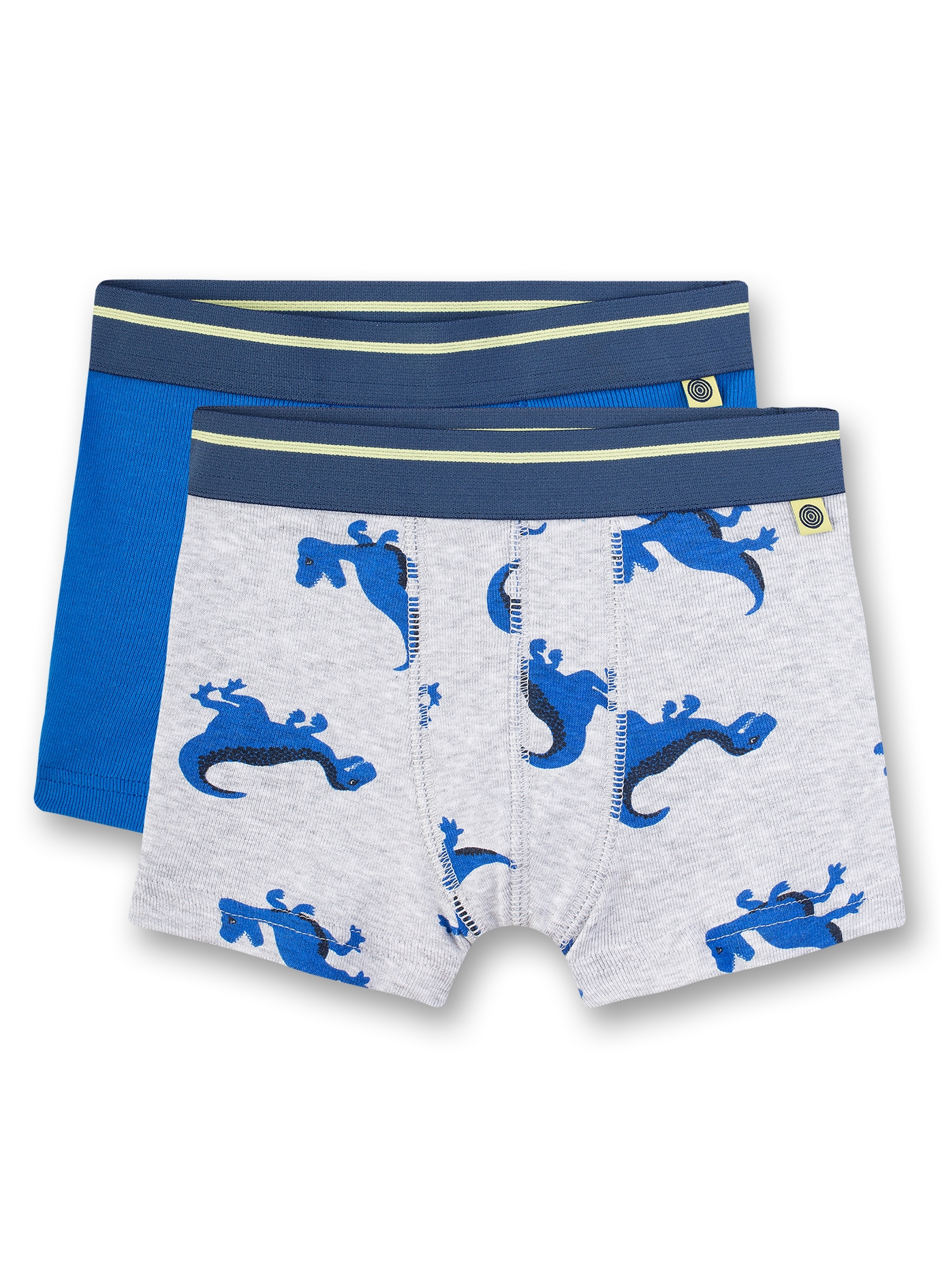 Jungen-Shorts (Doppelpack) Graumelange und Blau Dino