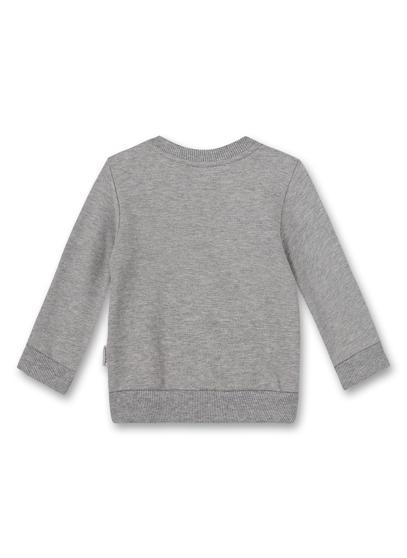 Jungen-Sweatshirt Graumelange Turtle