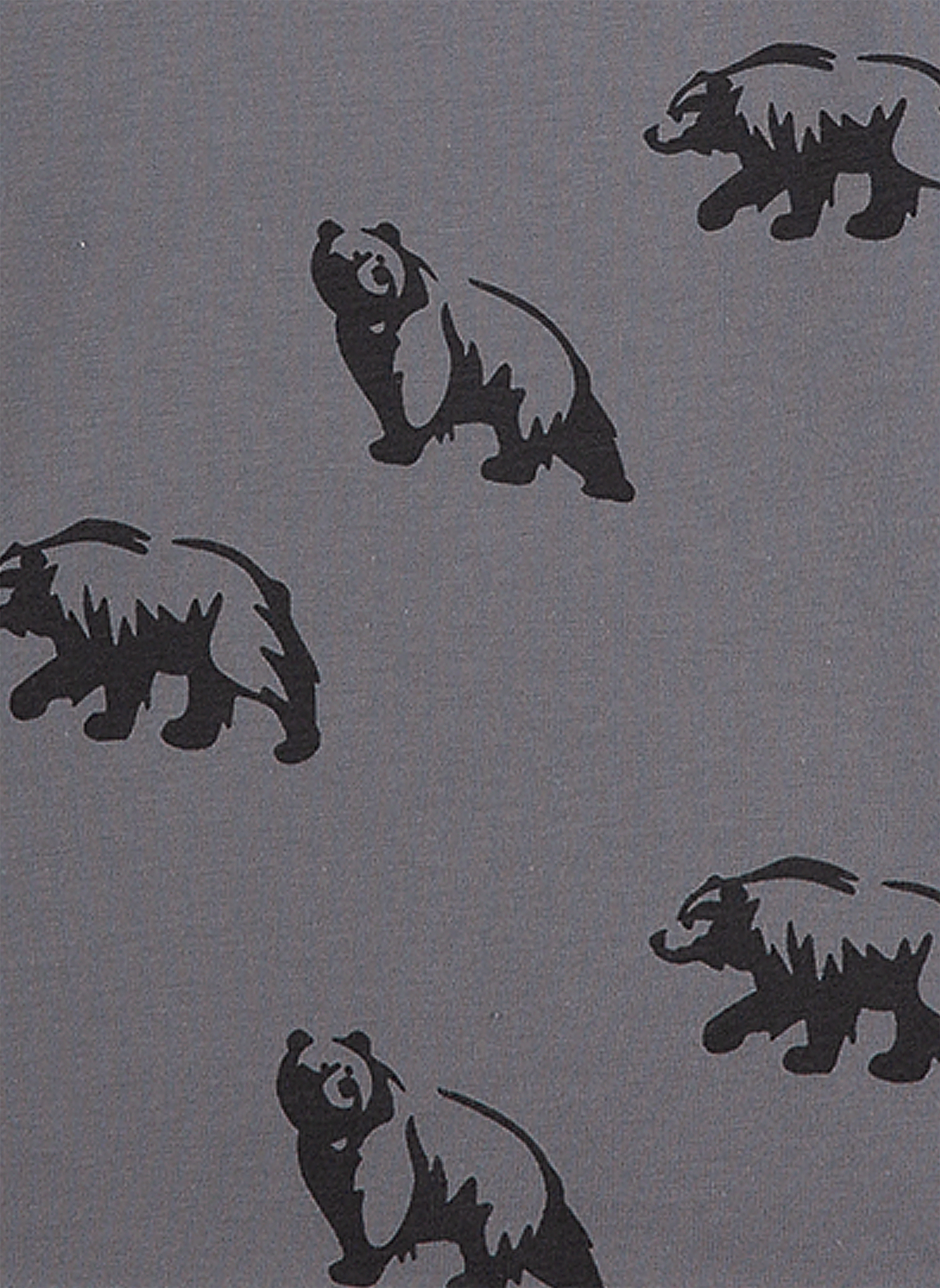 Jungen-Schlafanzug Grau Bear