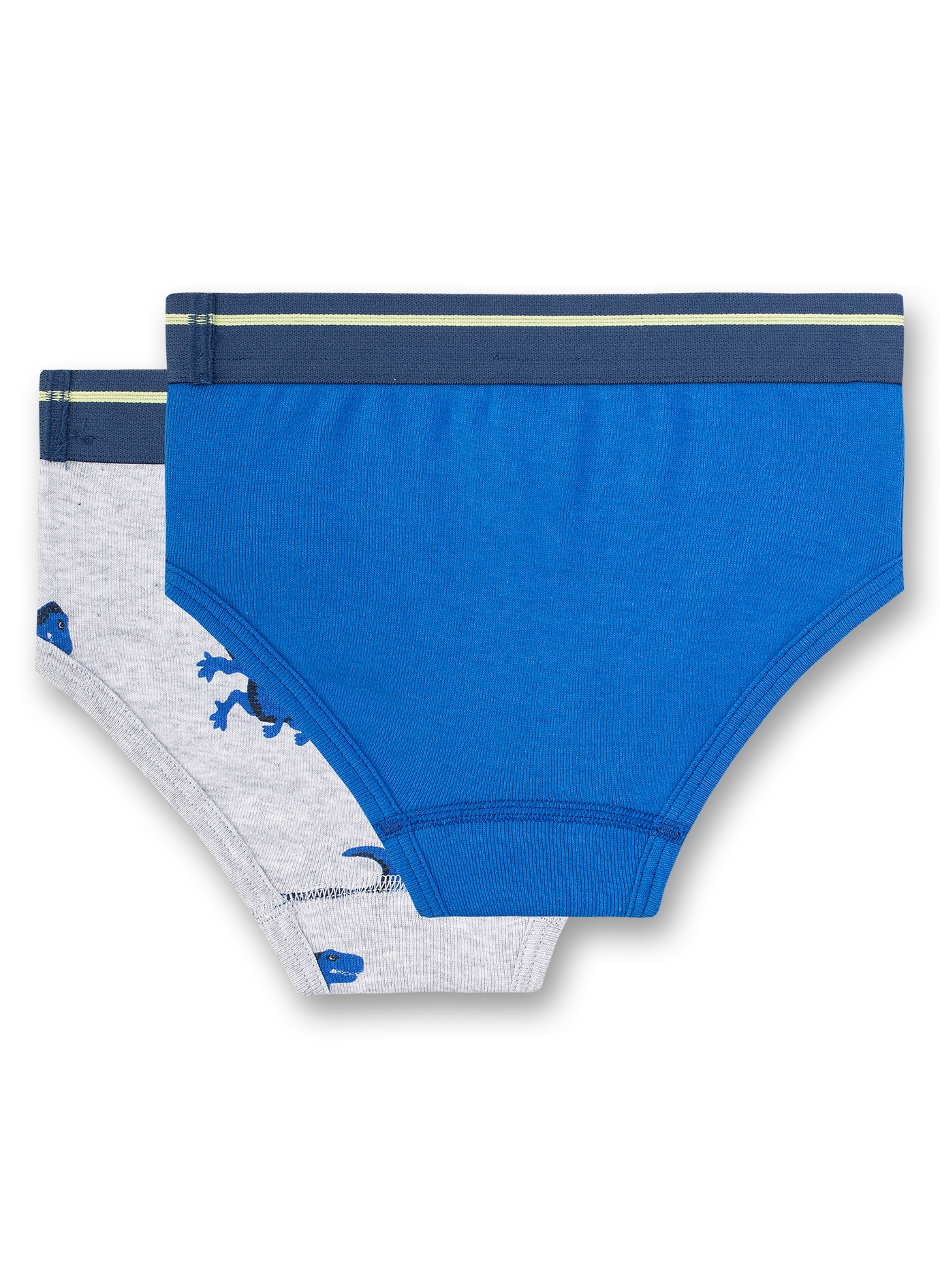 Jungen-Slip (Doppelpack) Blau und Graumelange Dino