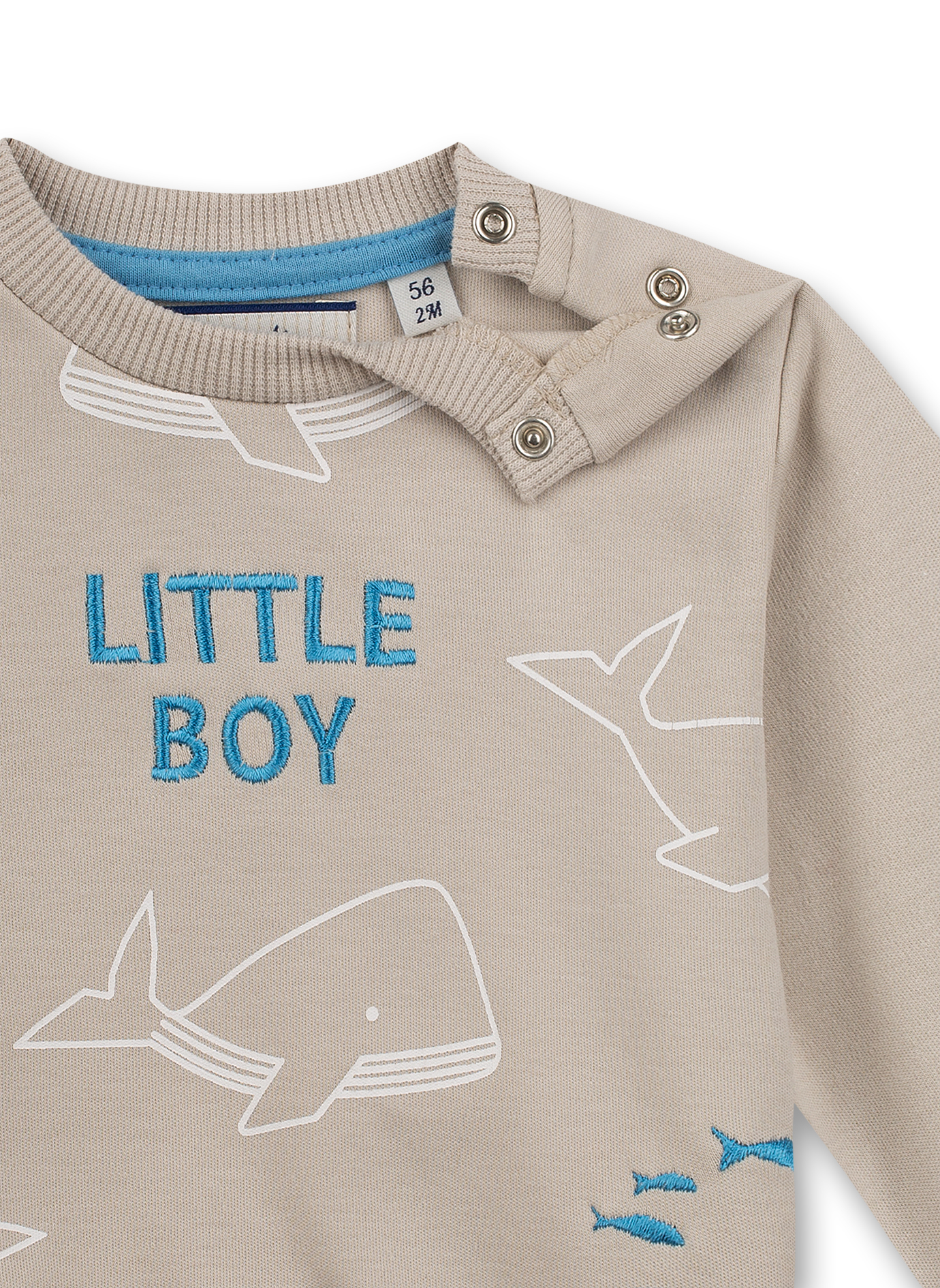 Jungen-Sweatshirt Beige Little Whale