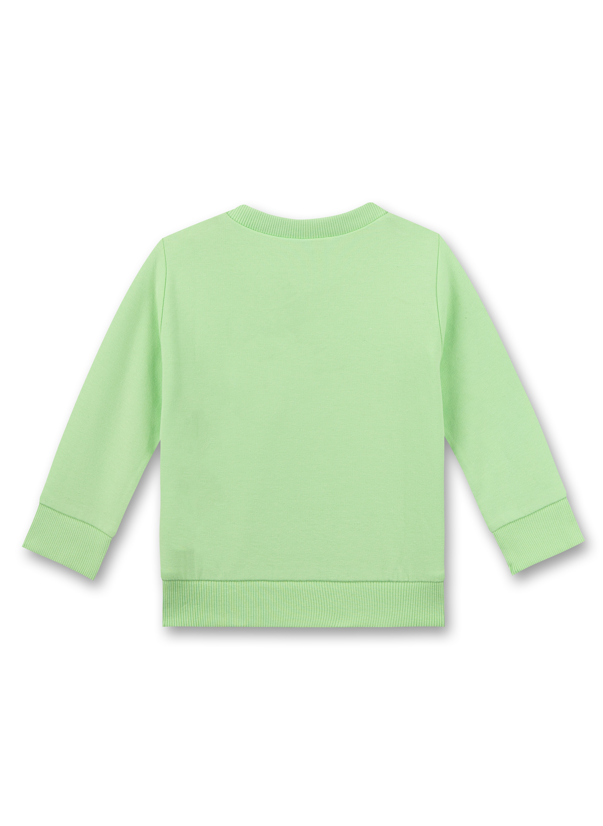 Jungen-Sweatshirt Grün