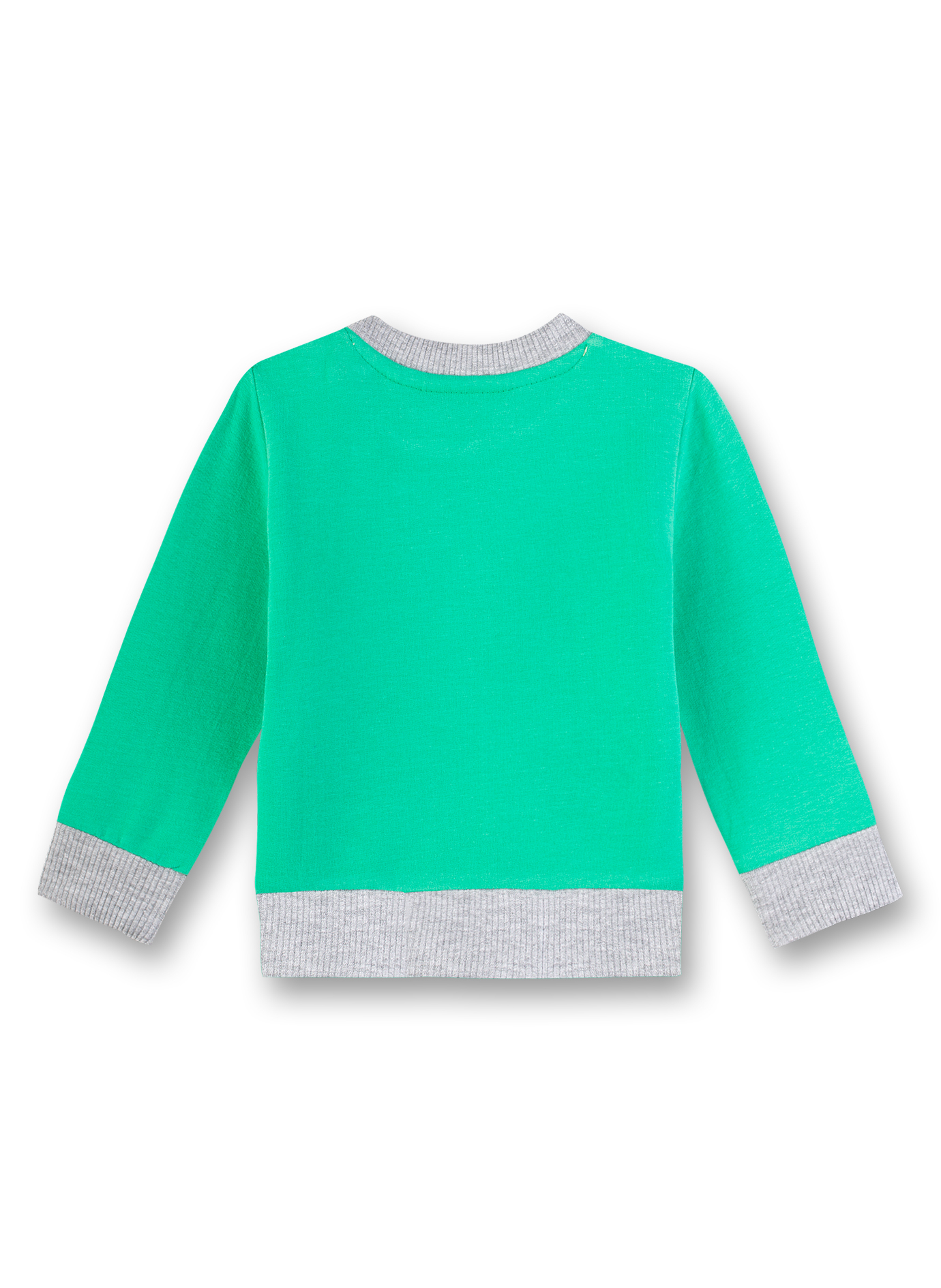 Jungen-Sweatshirt Grün Little Friends