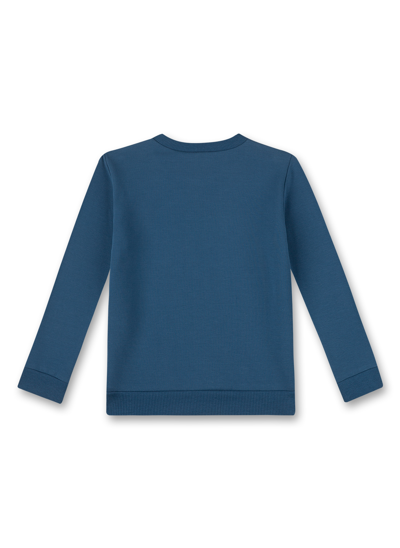 Jungen-Sweatshirt Blau