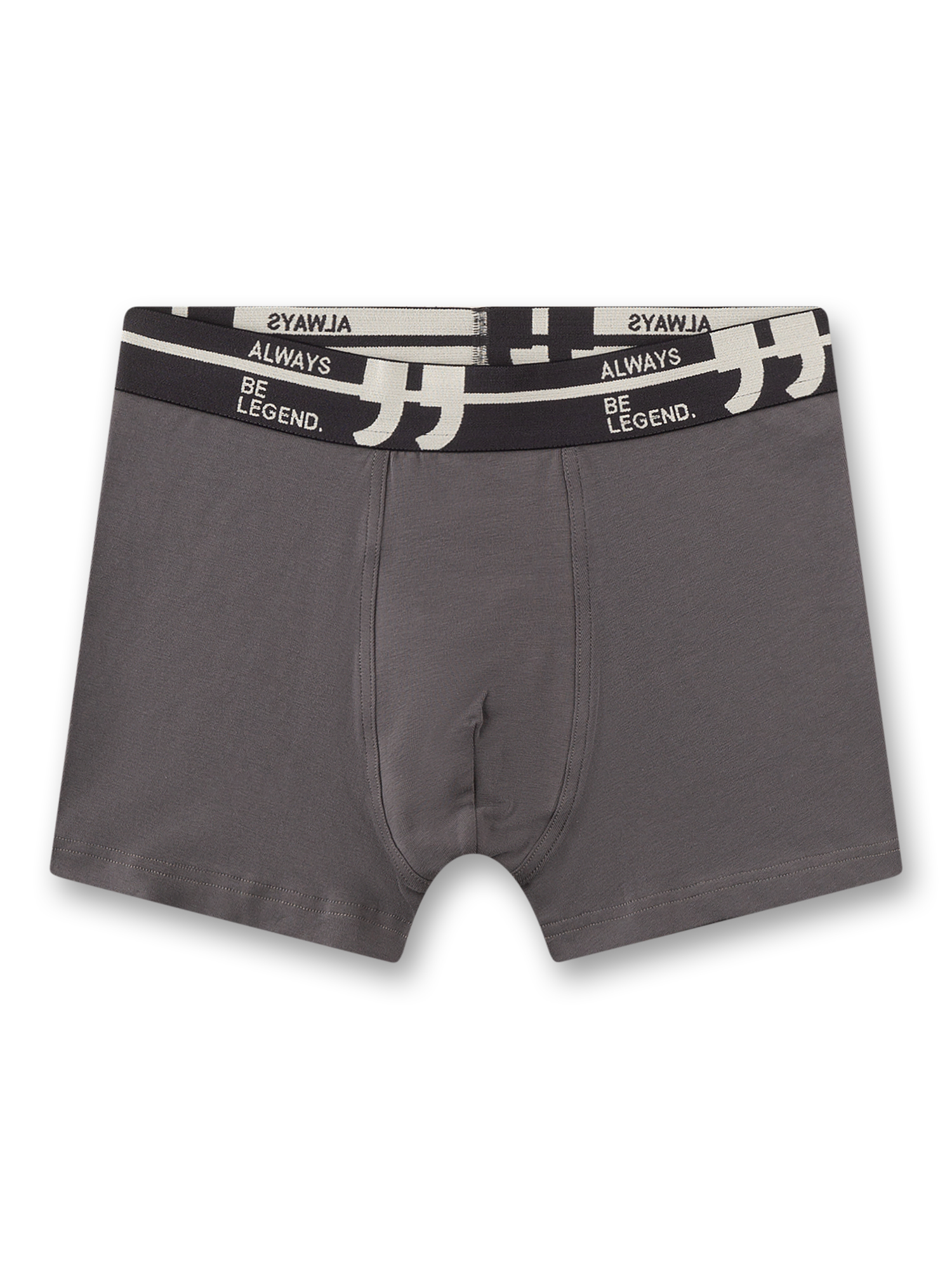 Boxer Shorts, Herrenunterwäsche, Körpernah, Grau, Elastischer Bund
