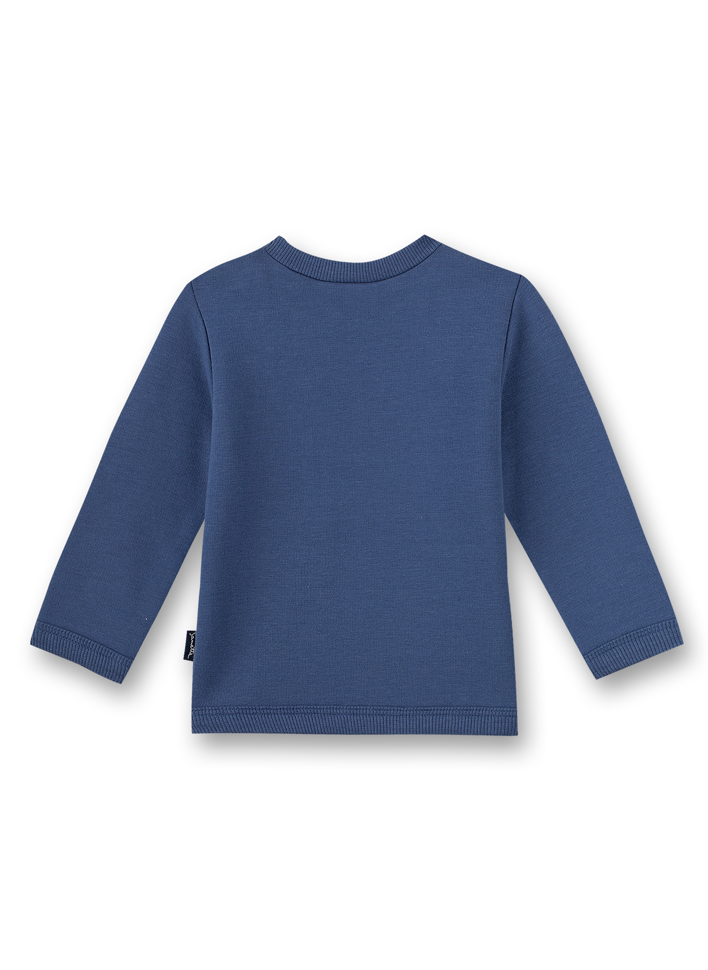 Jungen-Sweatshirt Blau Indian Little Panda