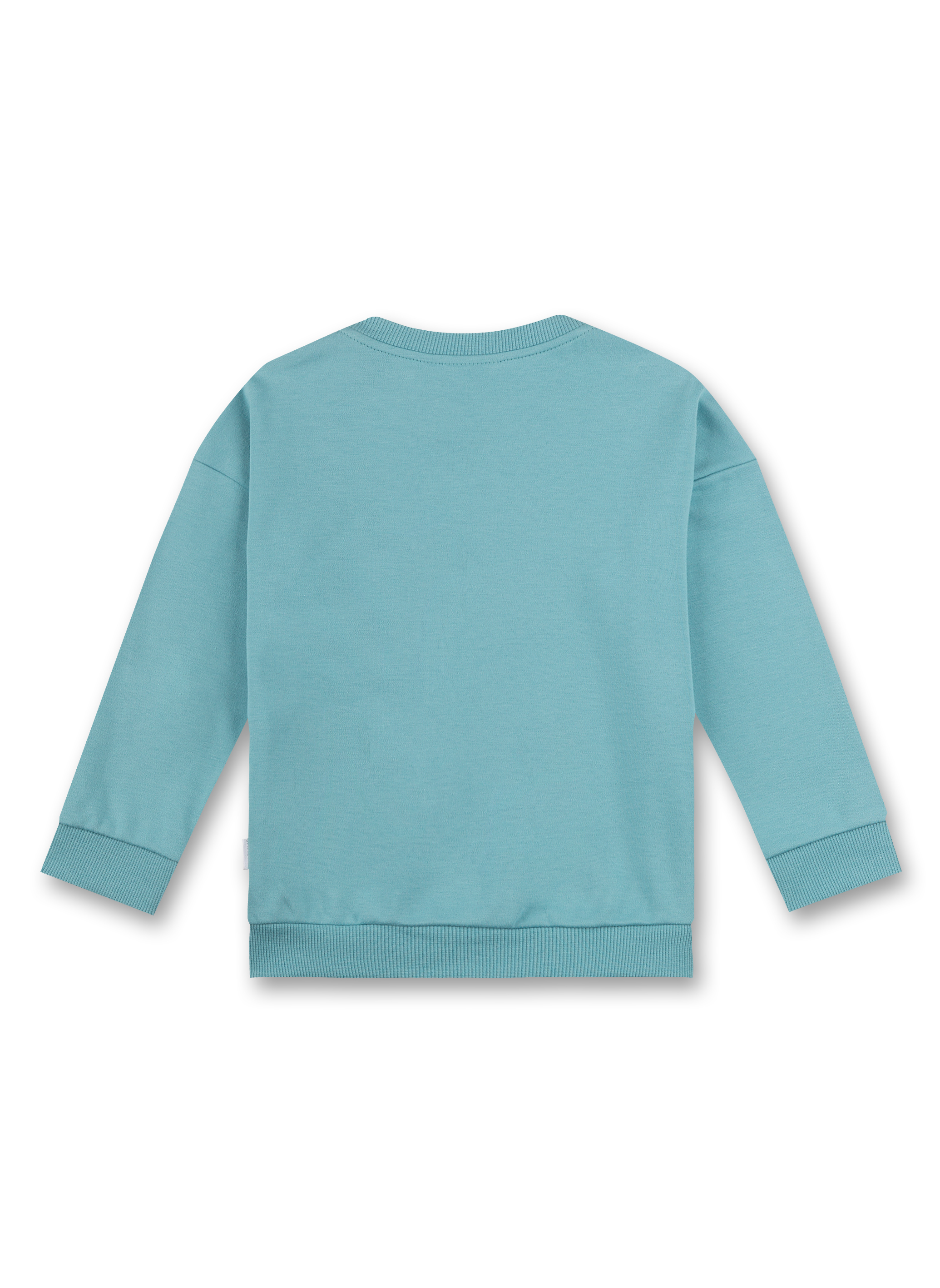 Jungen-Sweatshirt Hellblau