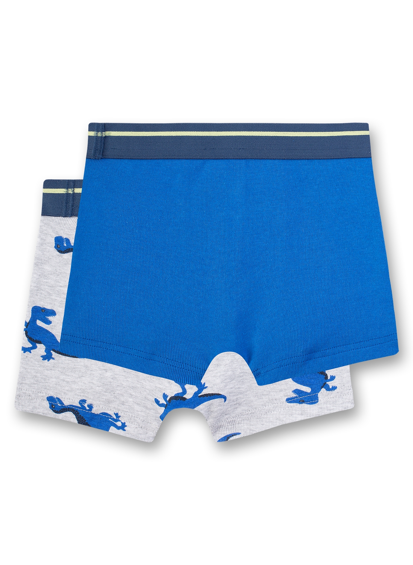 Jungen-Shorts (Doppelpack) Graumelange und Blau Dino