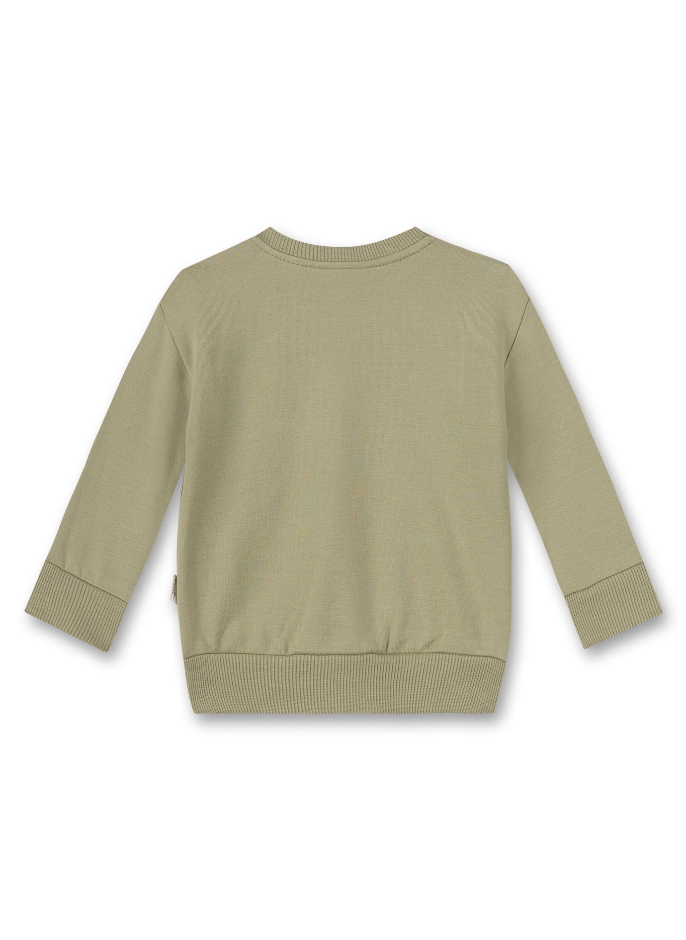Jungen-Sweatshirt Grün