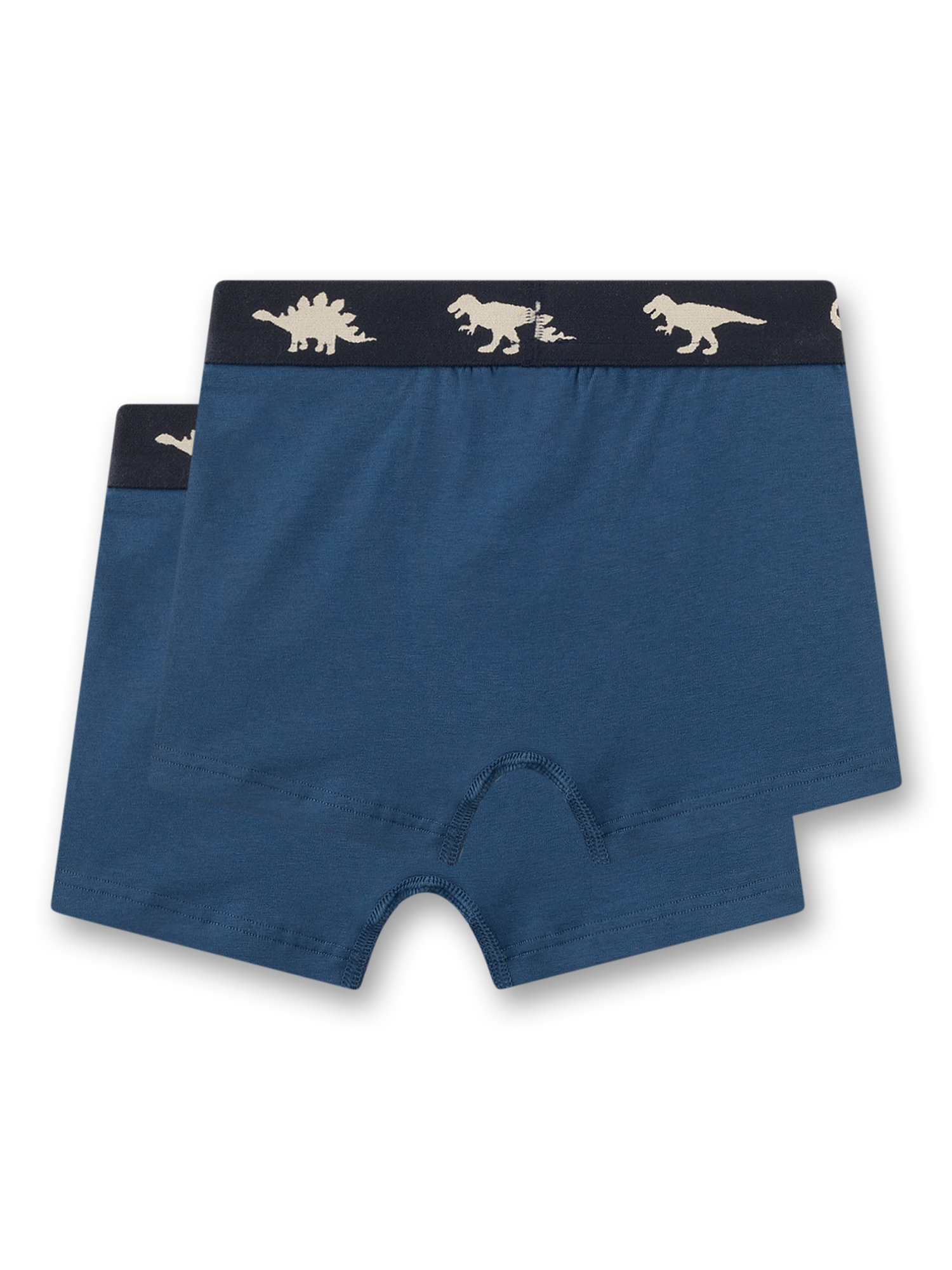 boxer, shorts, blue, elastic waistband, dinosaur pattern