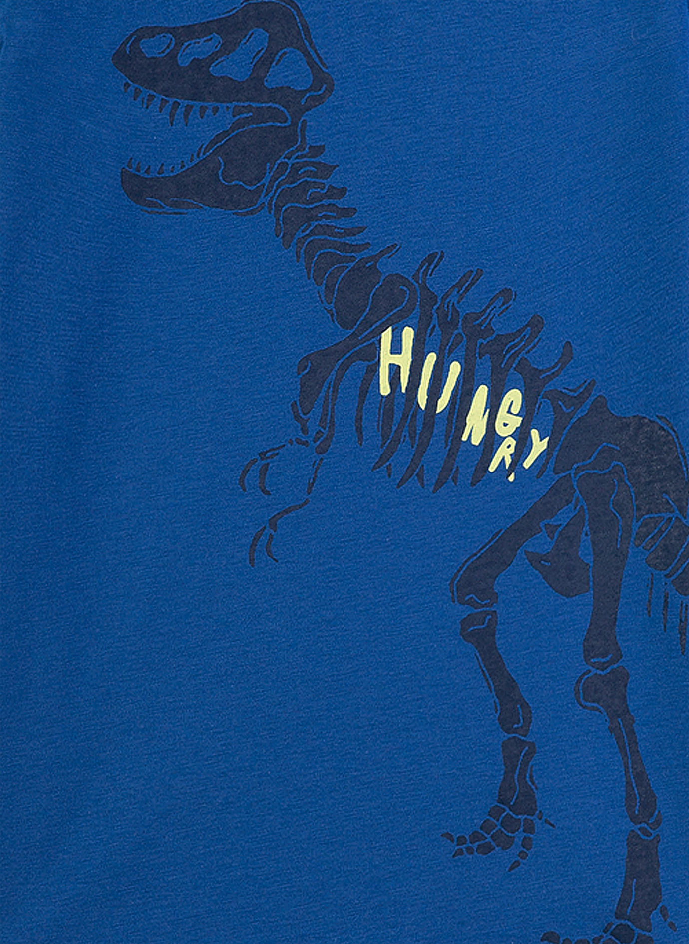 Jungen-Schlafanzug Blau Dino