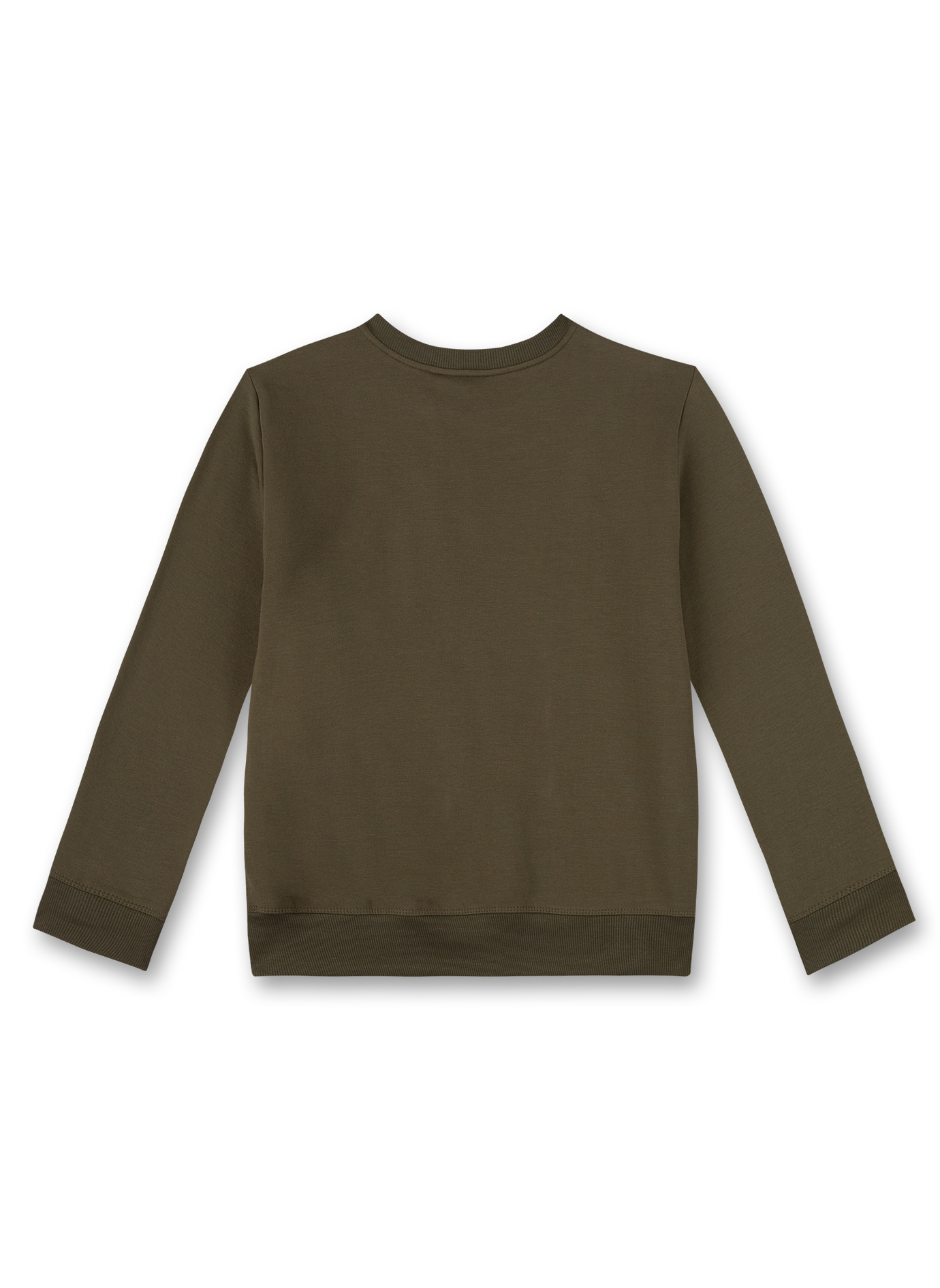 Jungen-Sweatshirt Grün