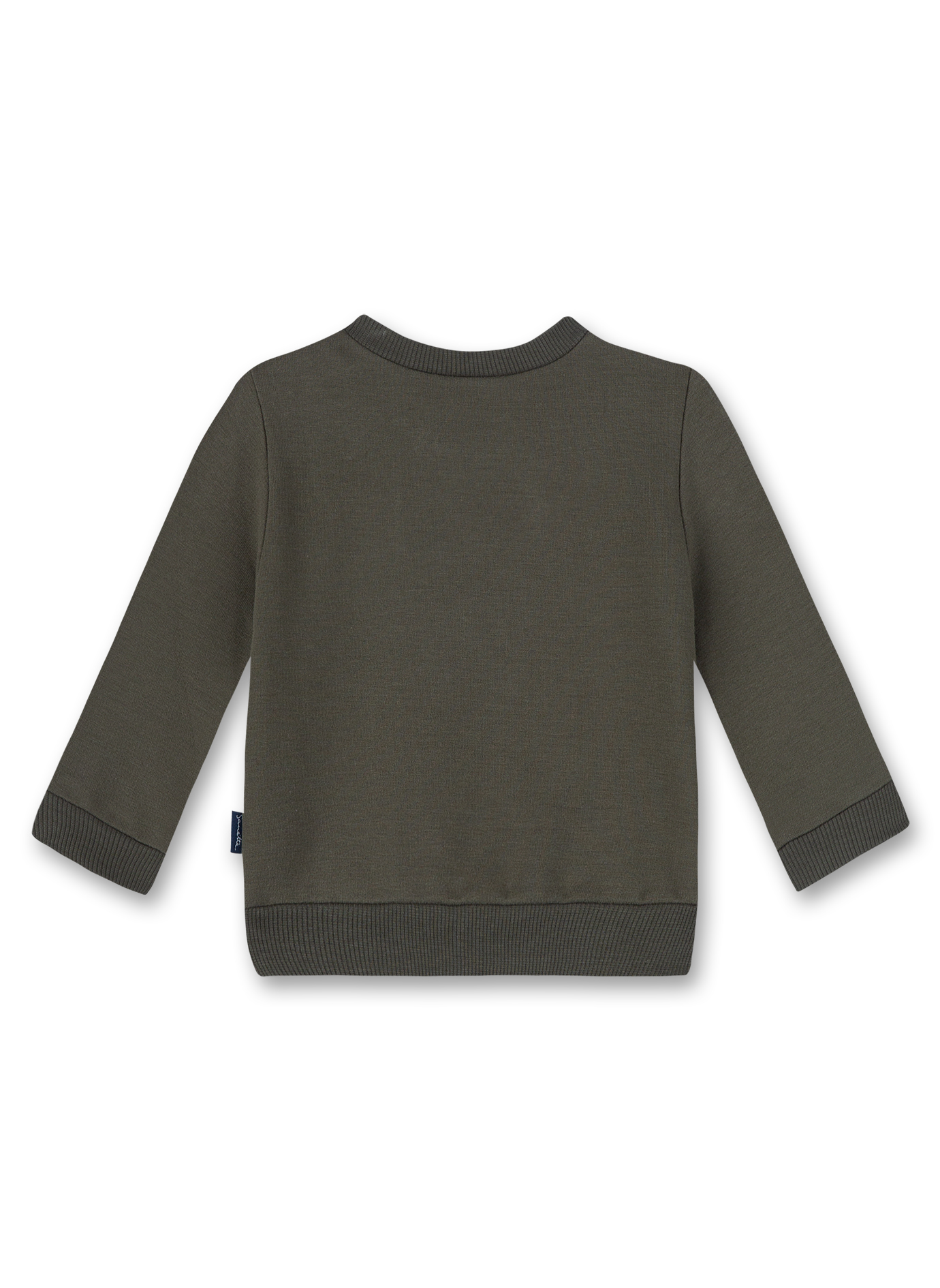 Jungen-Sweatshirt Grün Let's fly