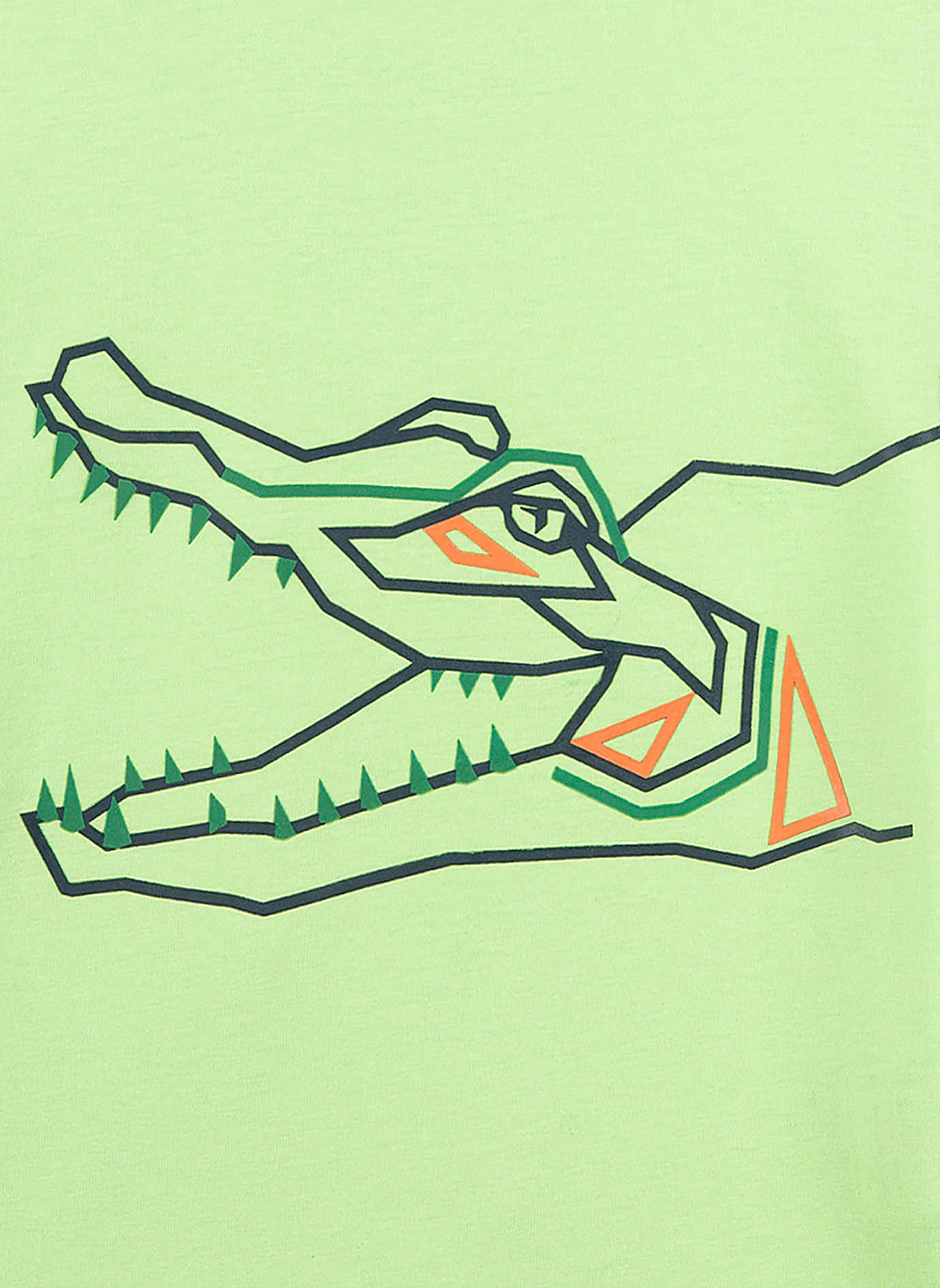 Jungen T-Shirt Grün Crocodile