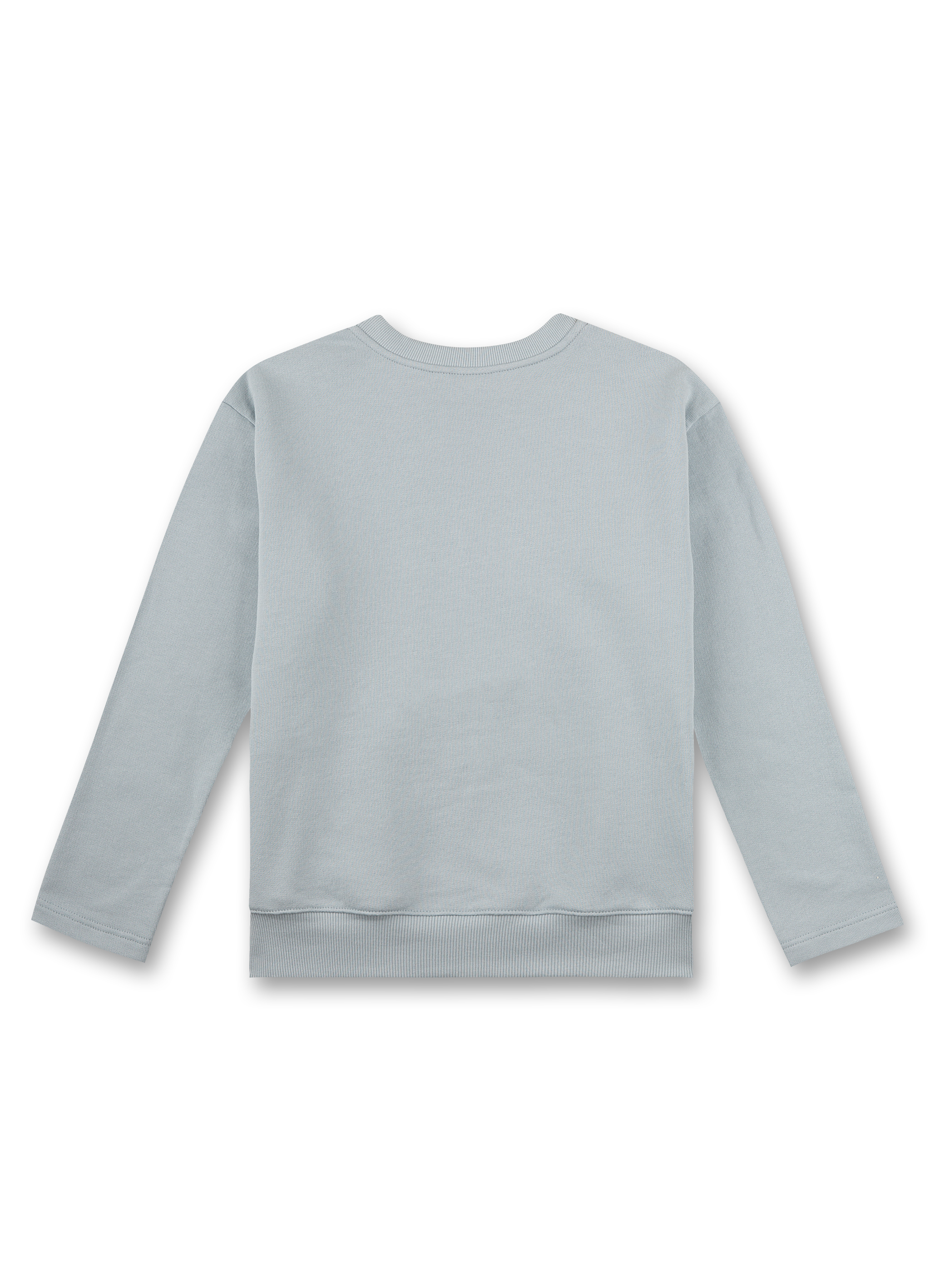 Jungen-Sweatshirt Hellblau