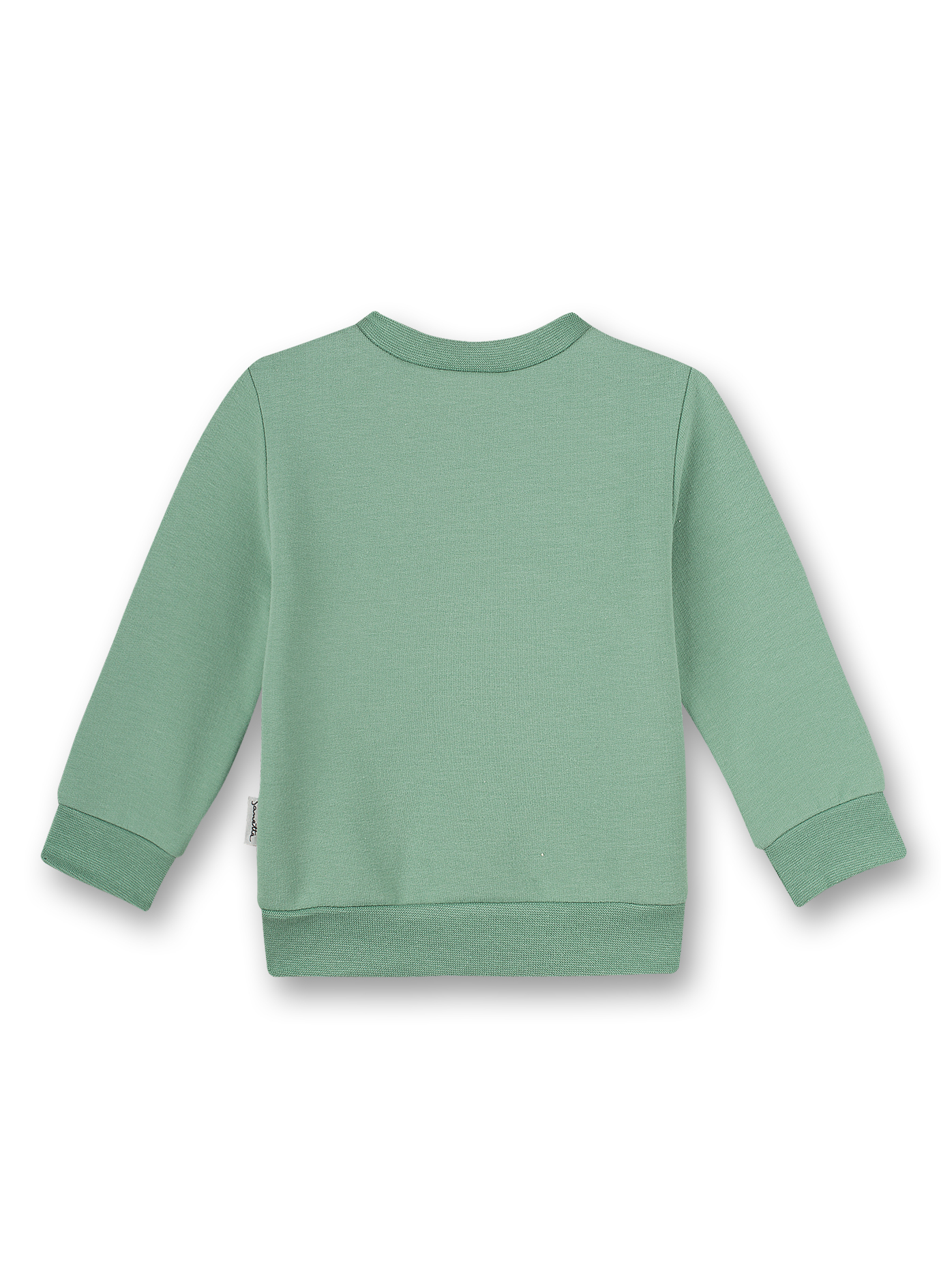 Jungen-Sweatshirt Grün Best Buddies