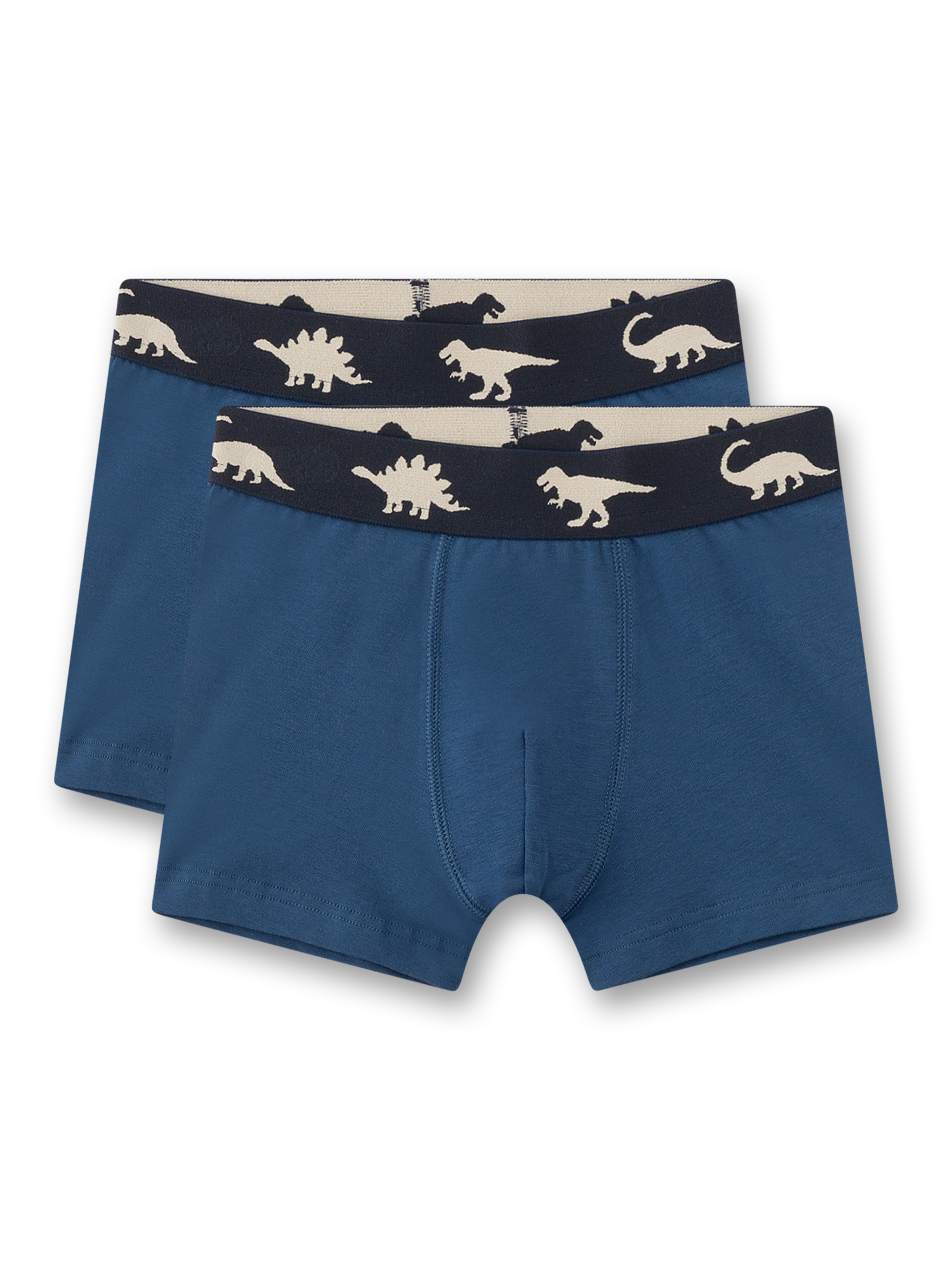 unterhosen, dinosaurier-muster, blau, strickbund, babyunterwäsche