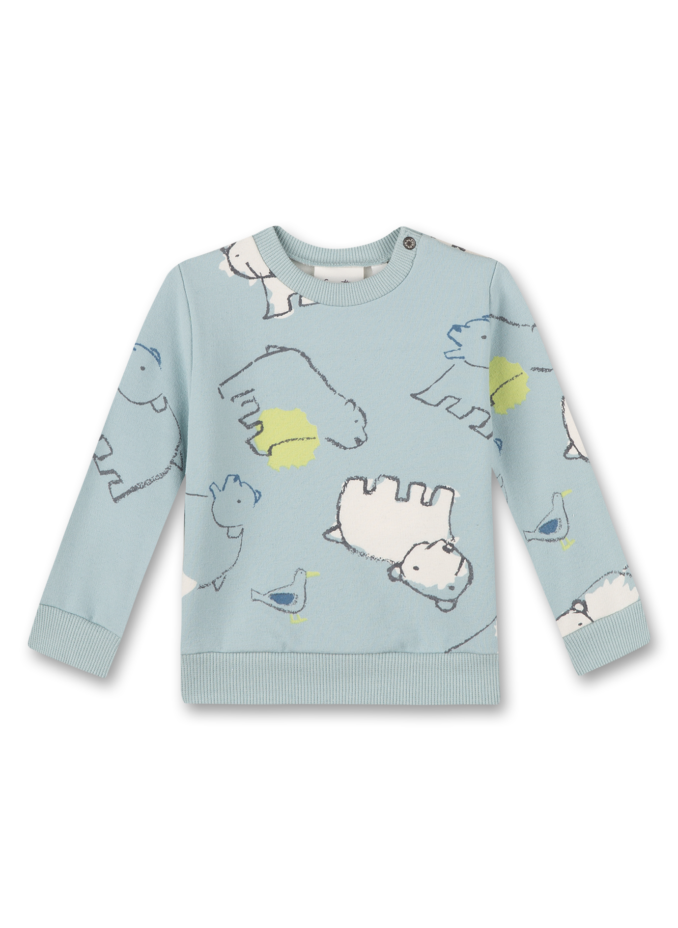 Jungen-Sweatshirt Hellblau