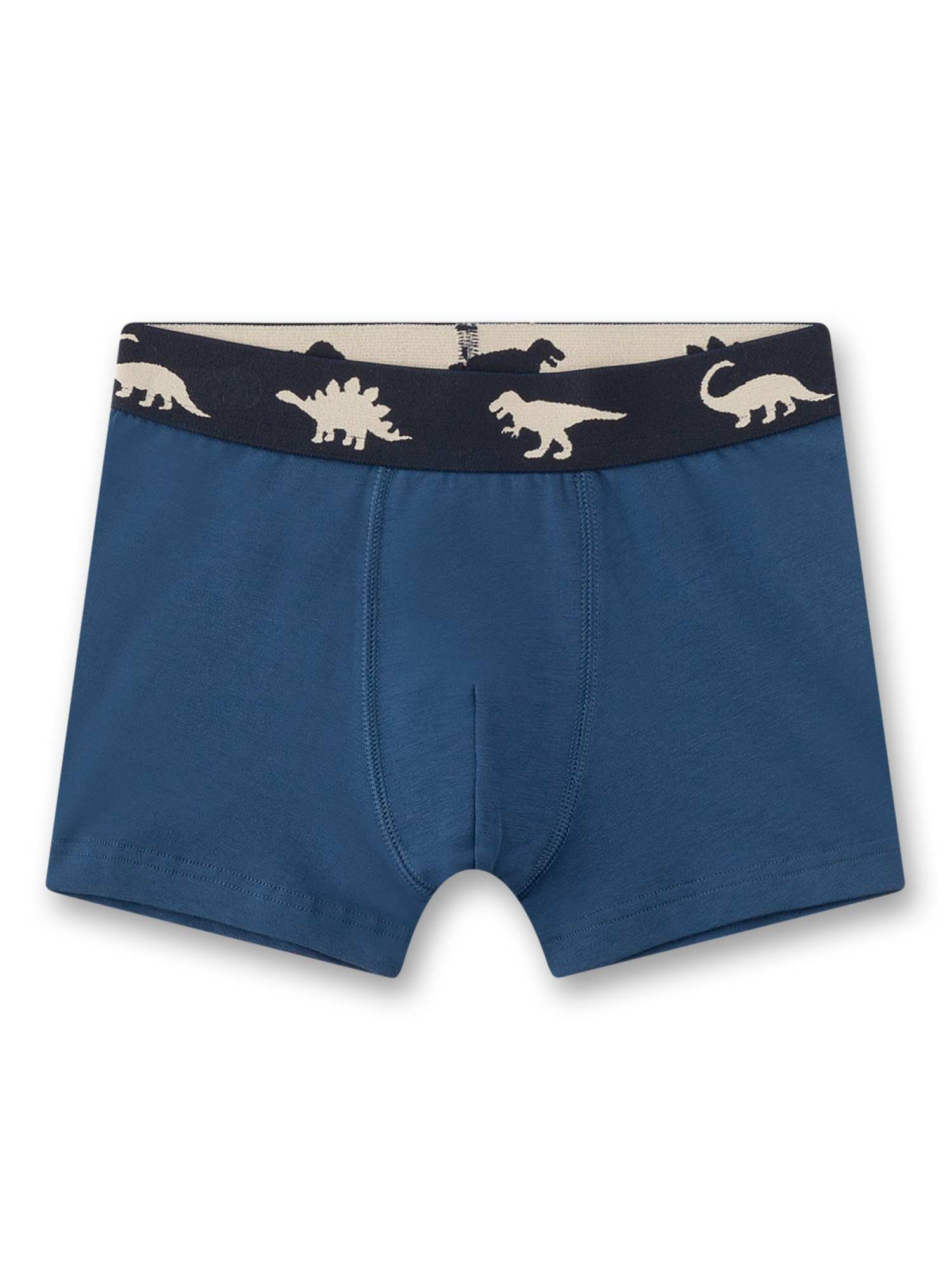 Boxer, Shorts, Kids, Dino print, Blue