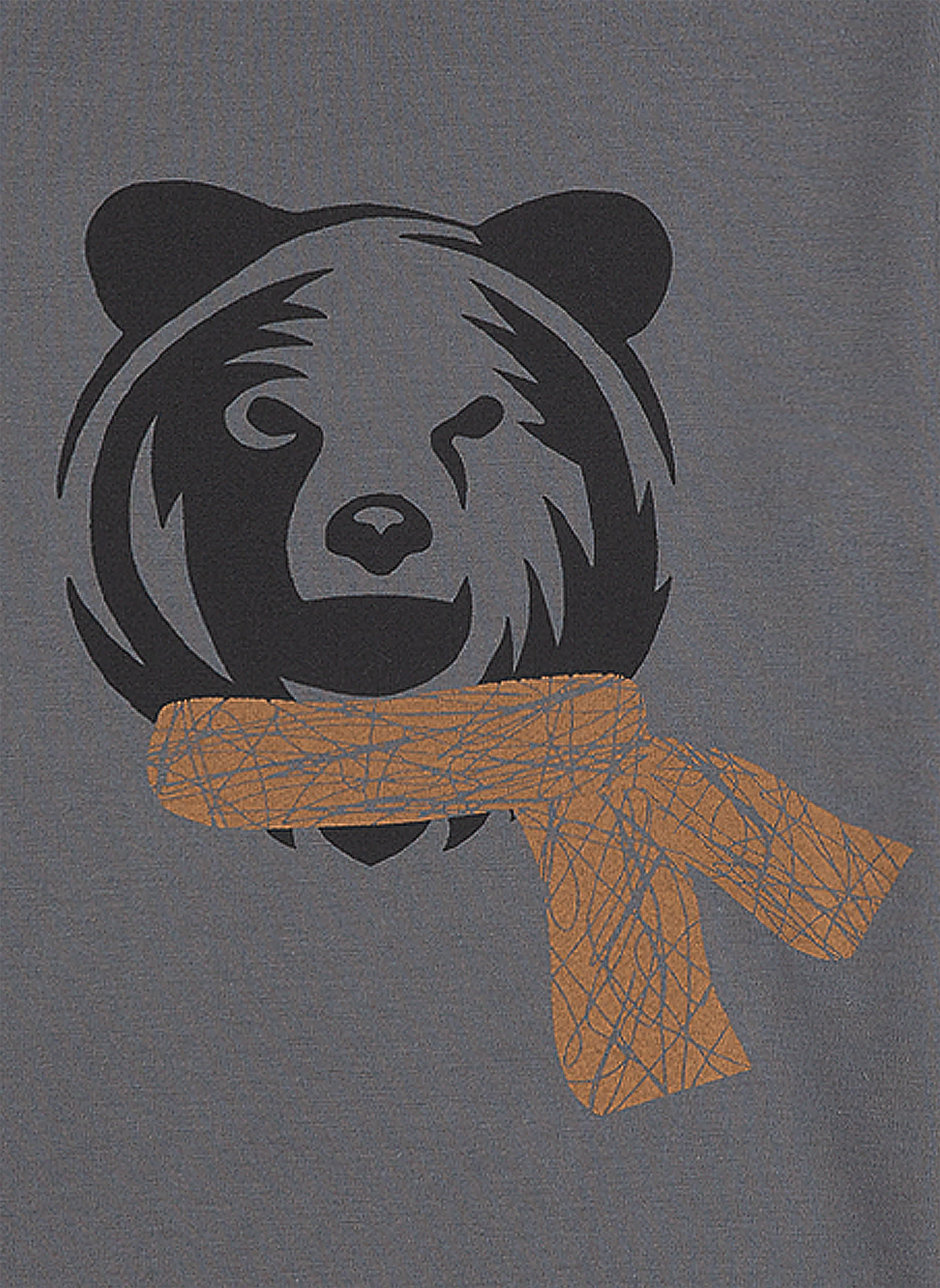 Jungen-Schlafanzug Grau Bear