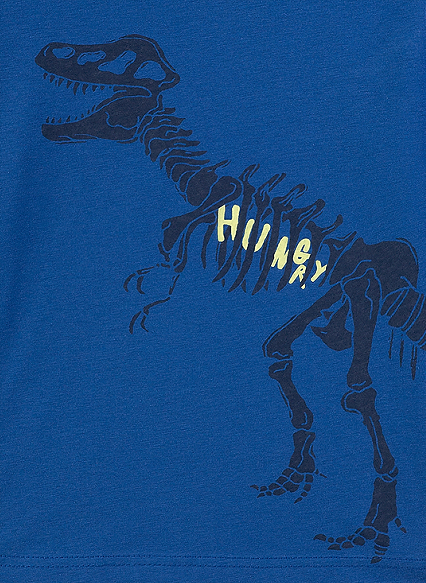 Jungen-Schlafanzug lang Blau Dino