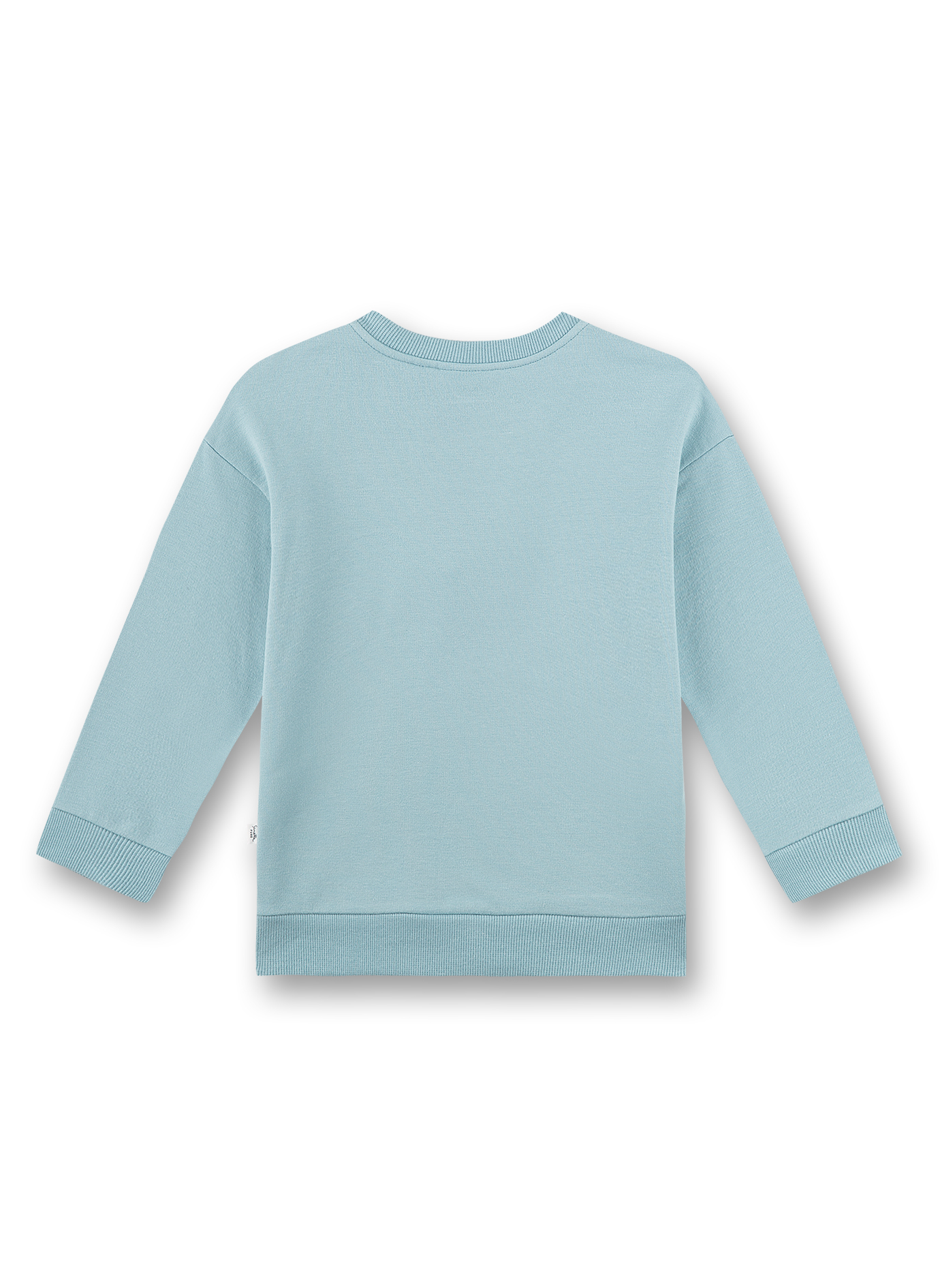 Jungen-Sweatshirt Hellblau